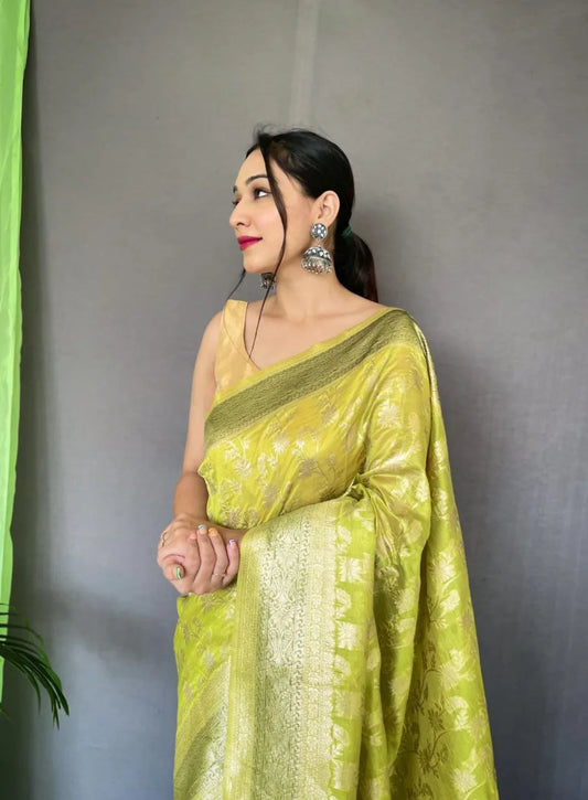 Pure Organza Silk Saree With Weaving Border - Mira Fashion