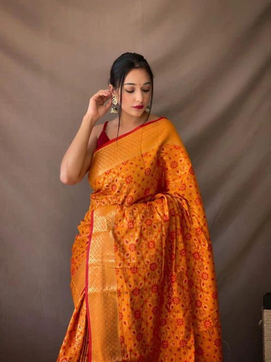 Diva Pure Patola Silk Saree With Contrast Meenakari - Mira Fashion