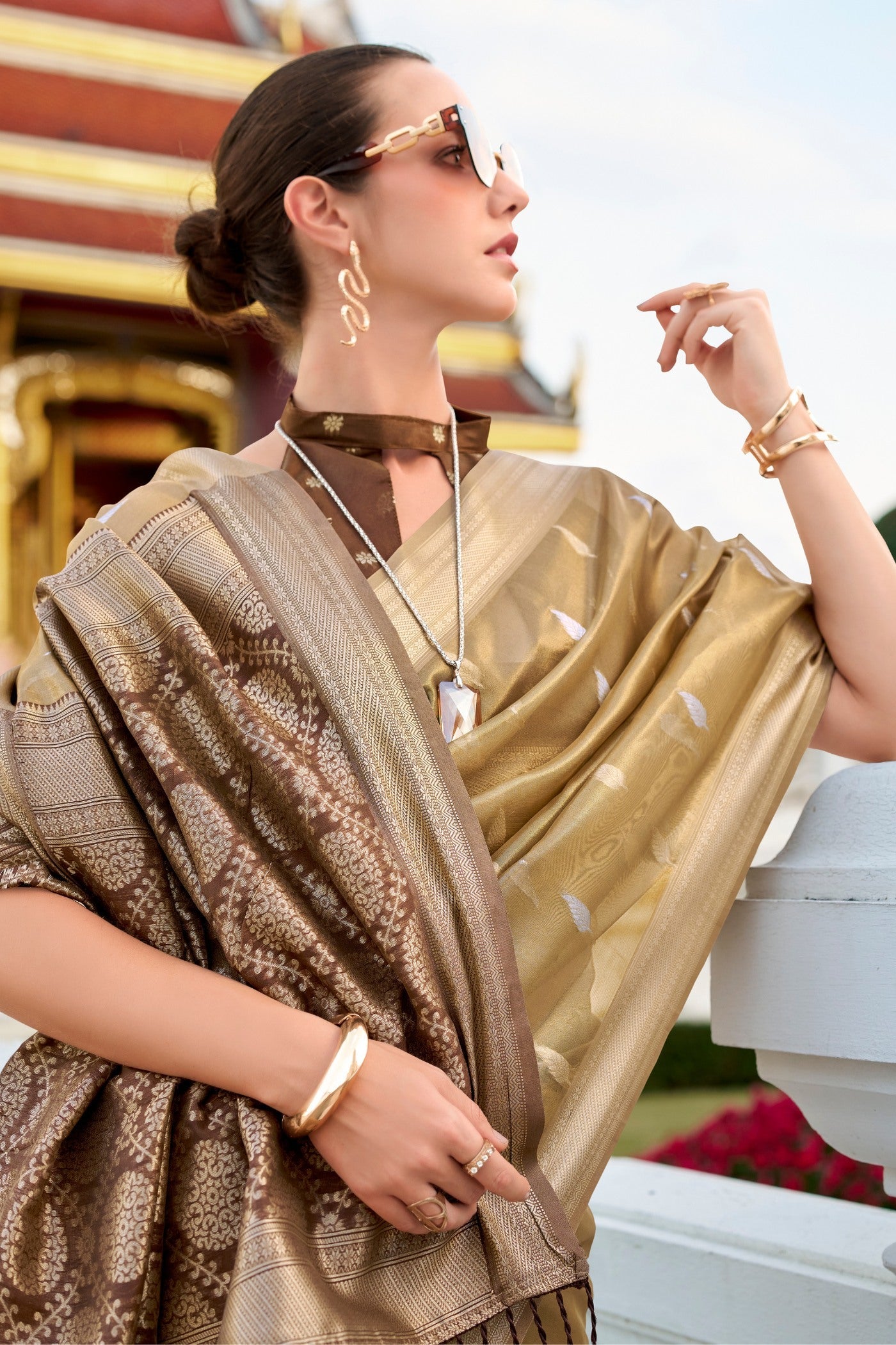 Muesli Brown Tissue Silk Saree