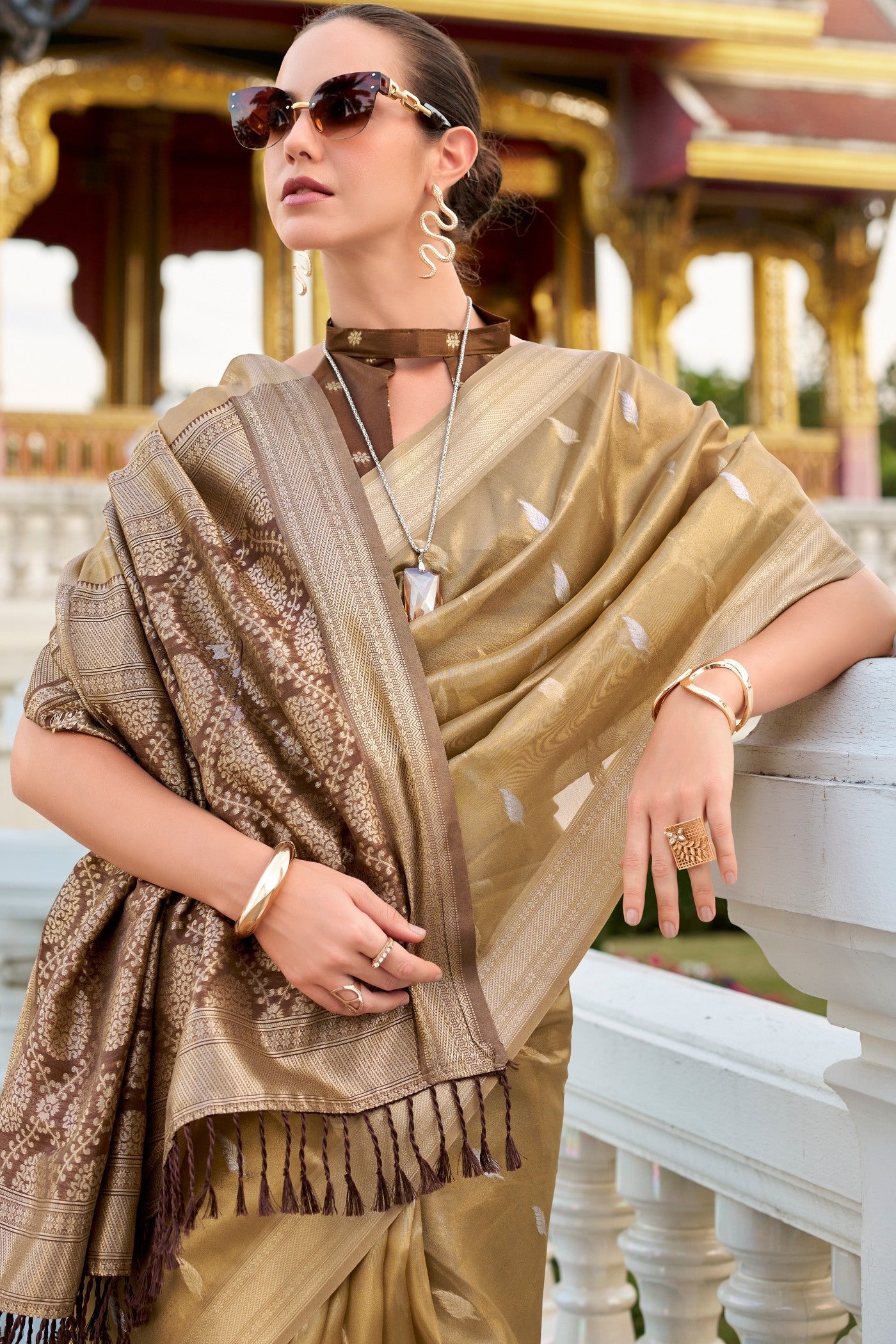 Muesli Brown Tissue Silk Saree