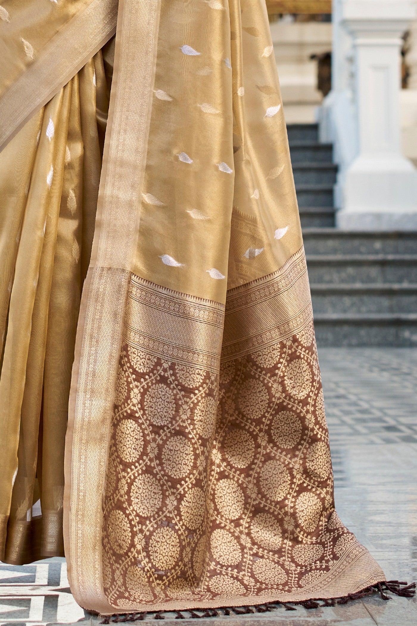 Muesli Brown Tissue Silk Saree