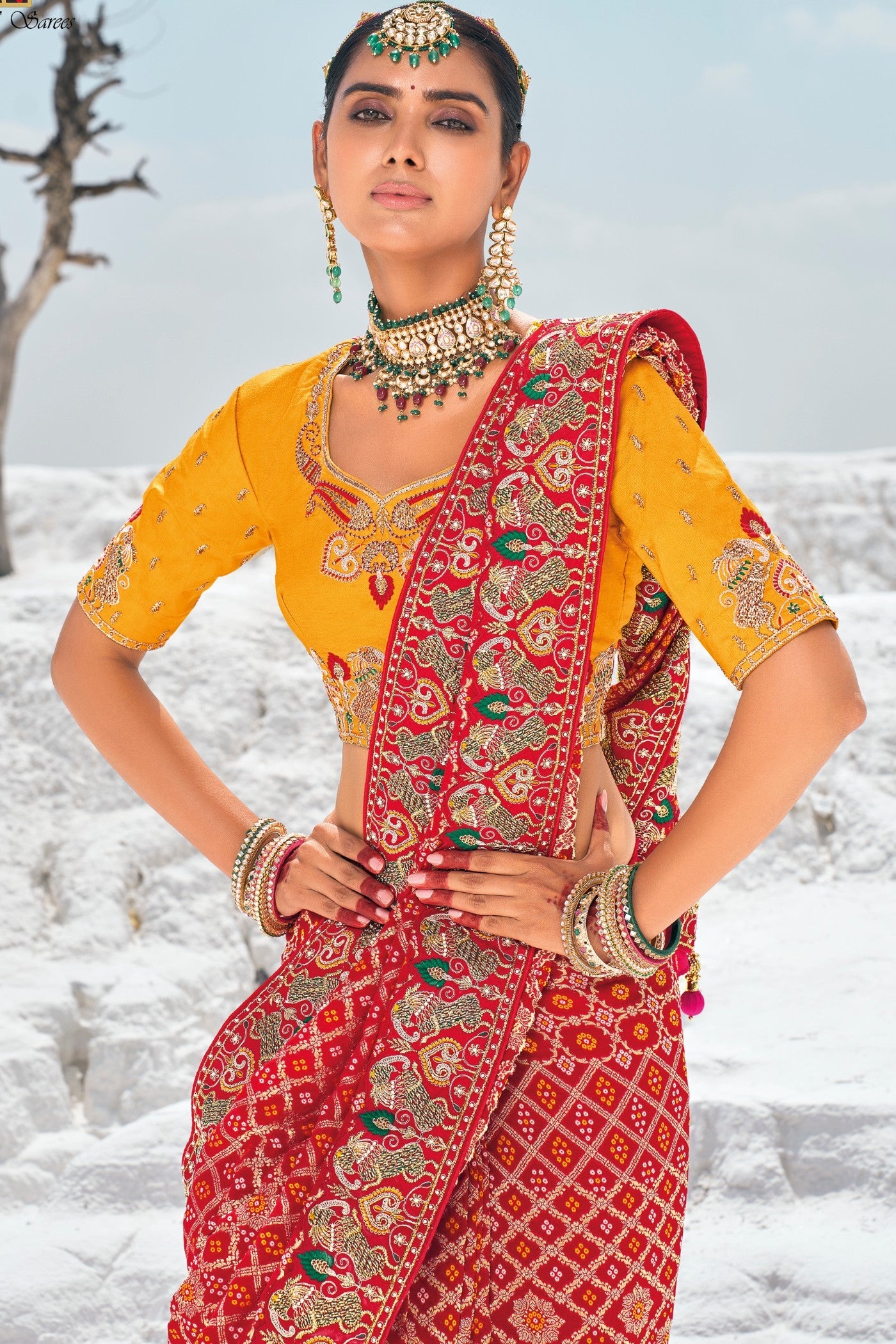 Cherry Red Georgette Patola Saree