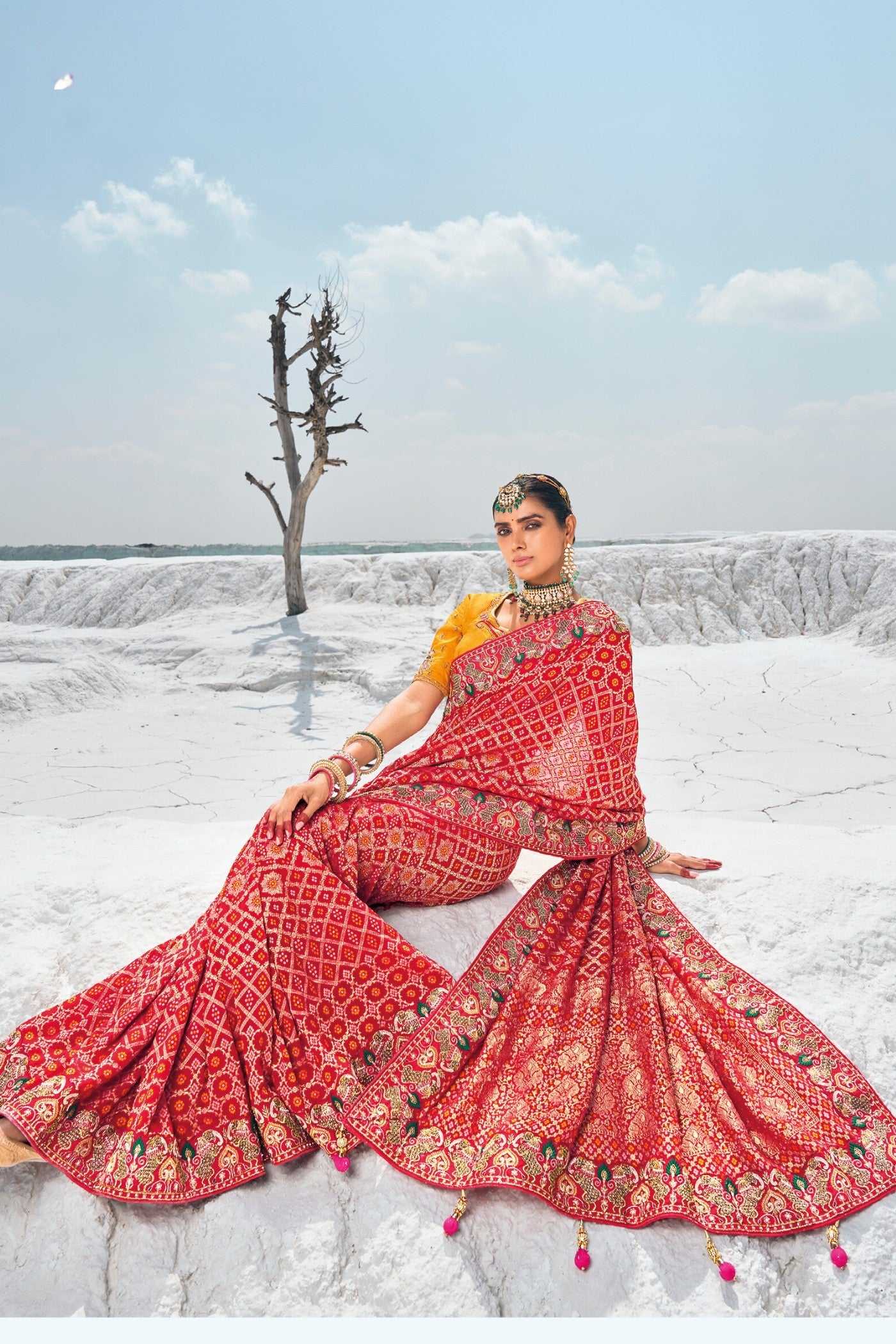 Cherry Red Georgette Patola Saree