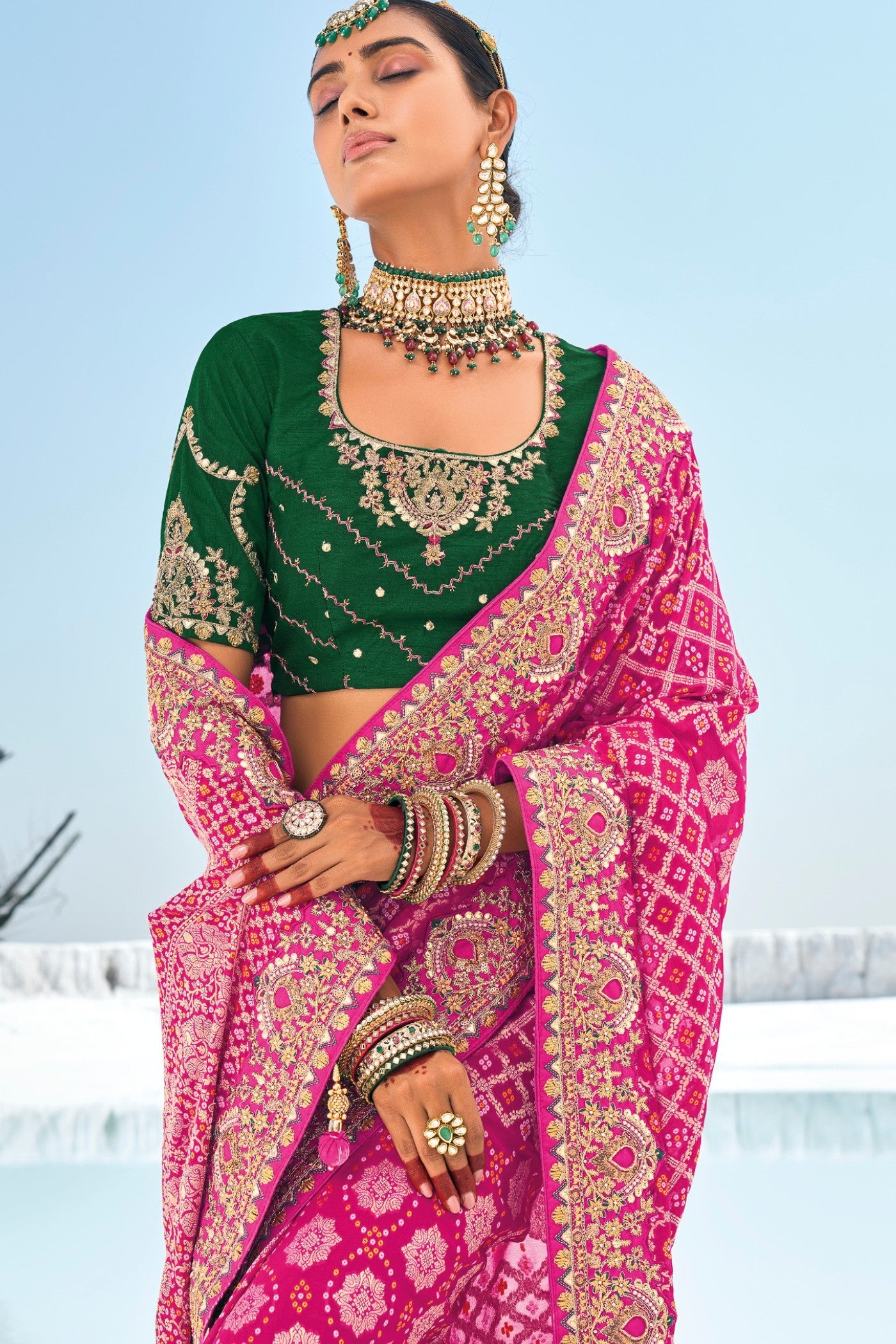 Foxglove Pink Georgette Patola Saree