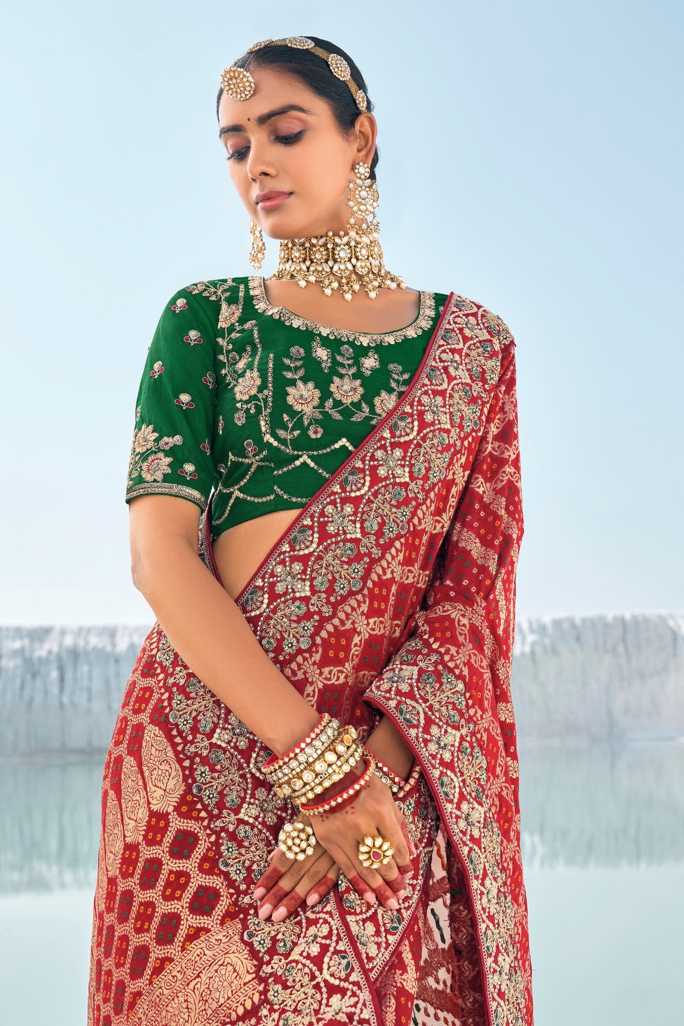 Hot Red Fire Georgette Patola Saree