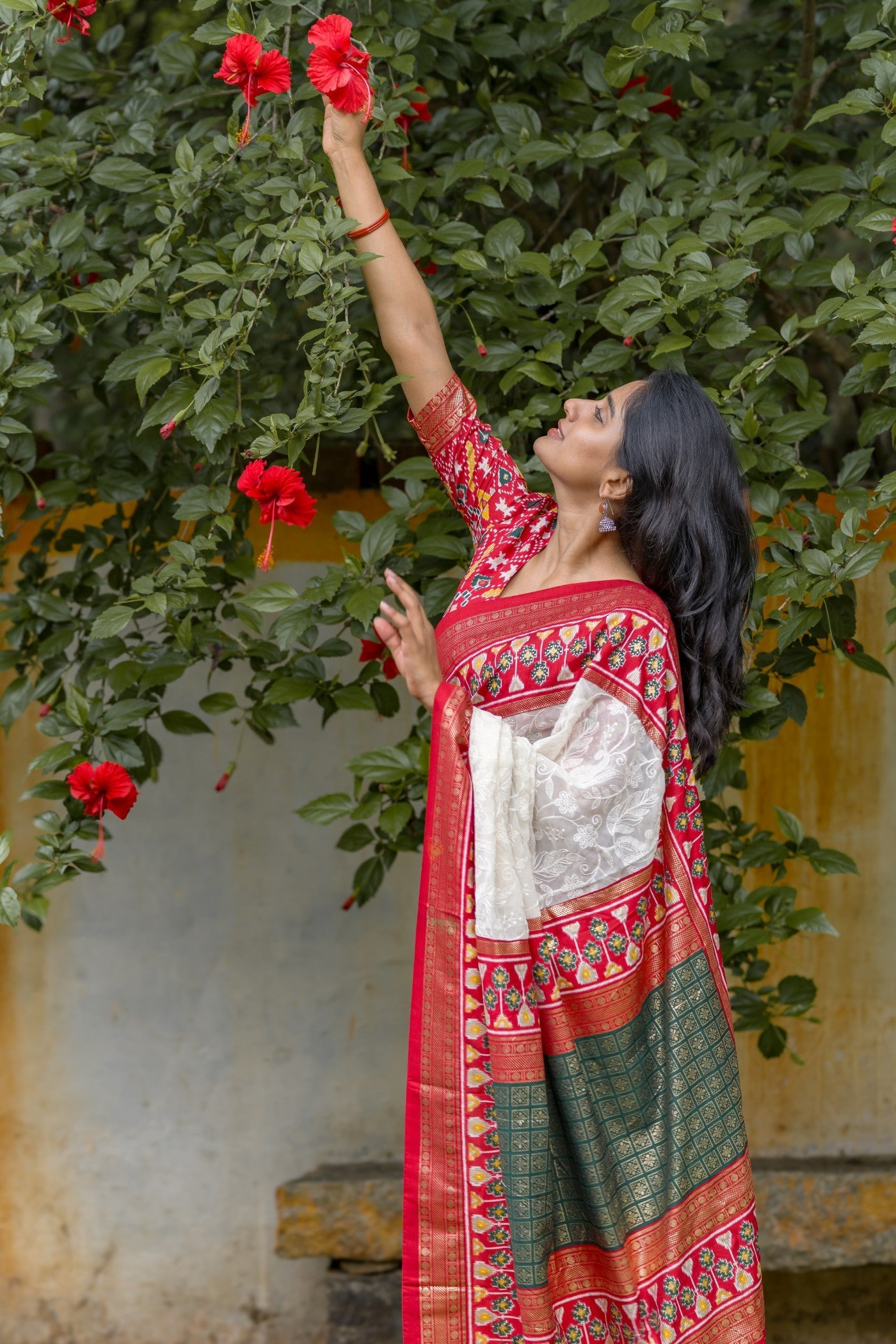 Frost White Embroidery Chikankari Patola Handloom Saree