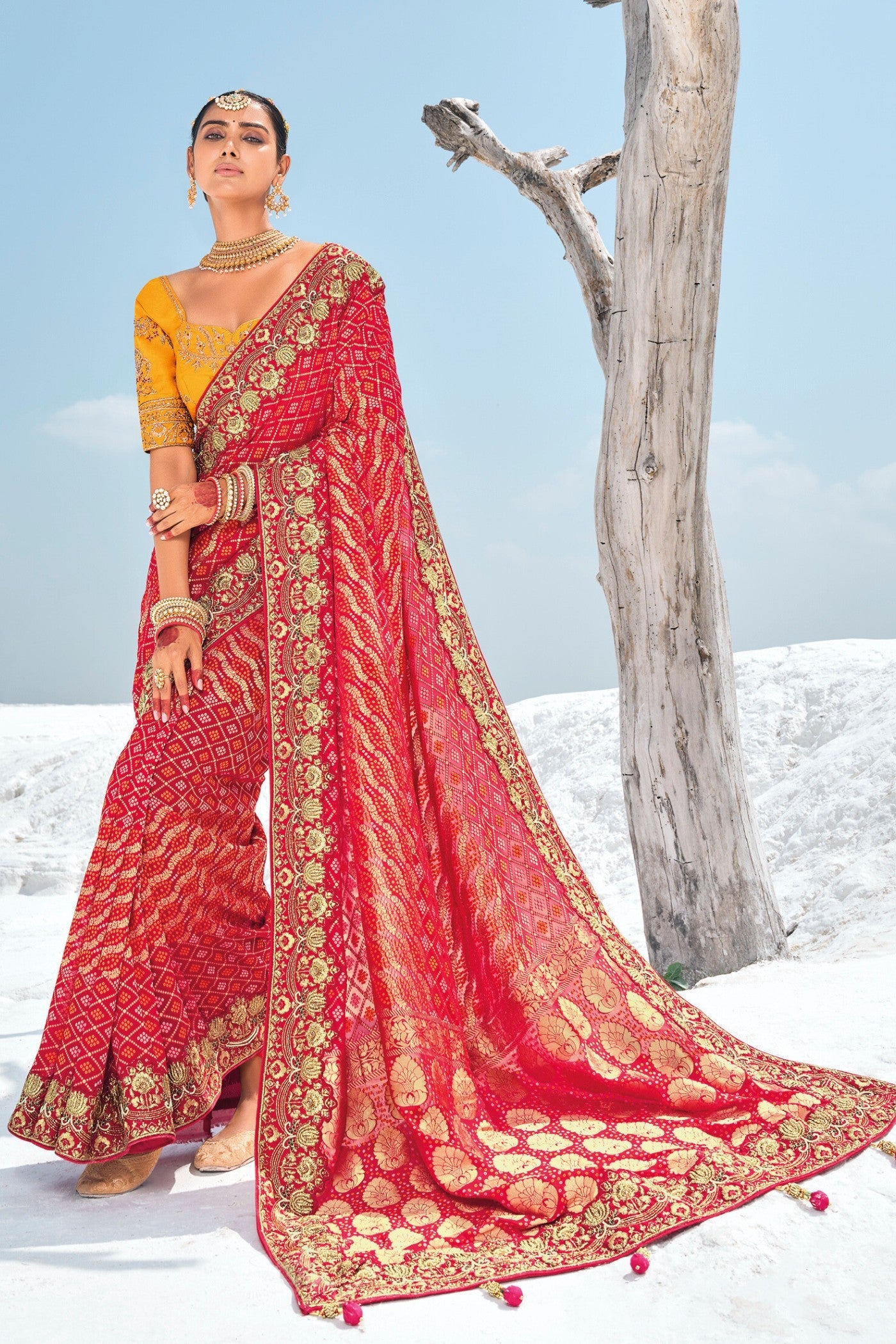 Anthuriums Red Georgette Patola Saree