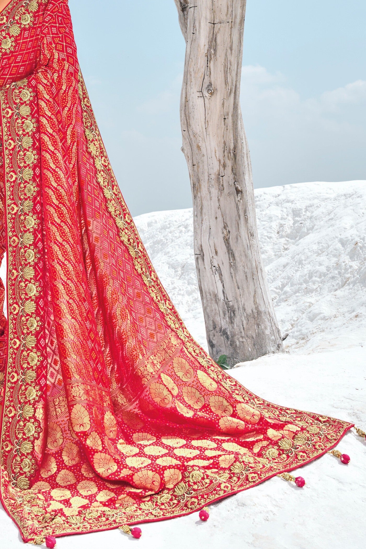 Anthuriums Red Georgette Patola Saree