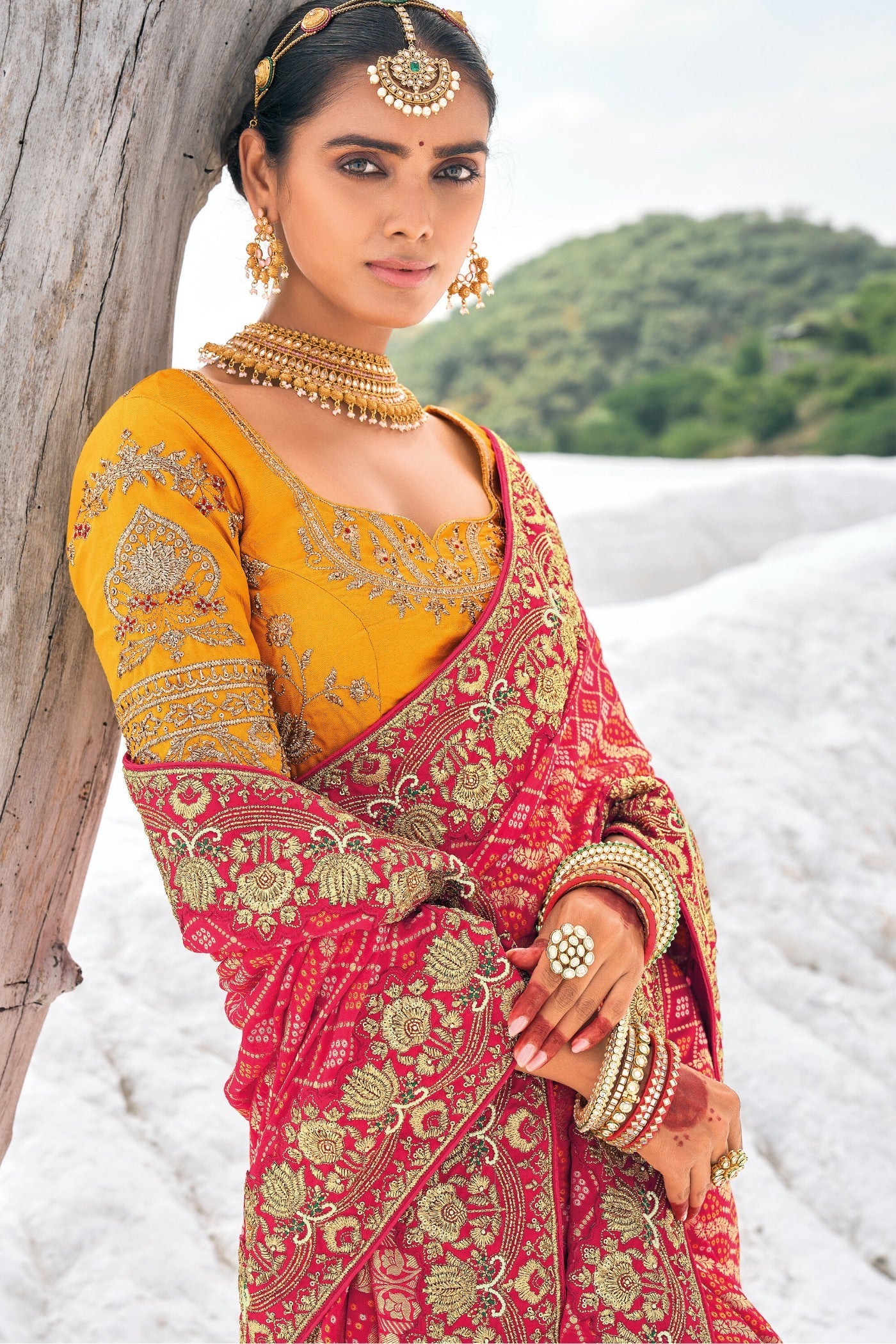 Anthuriums Red Georgette Patola Saree