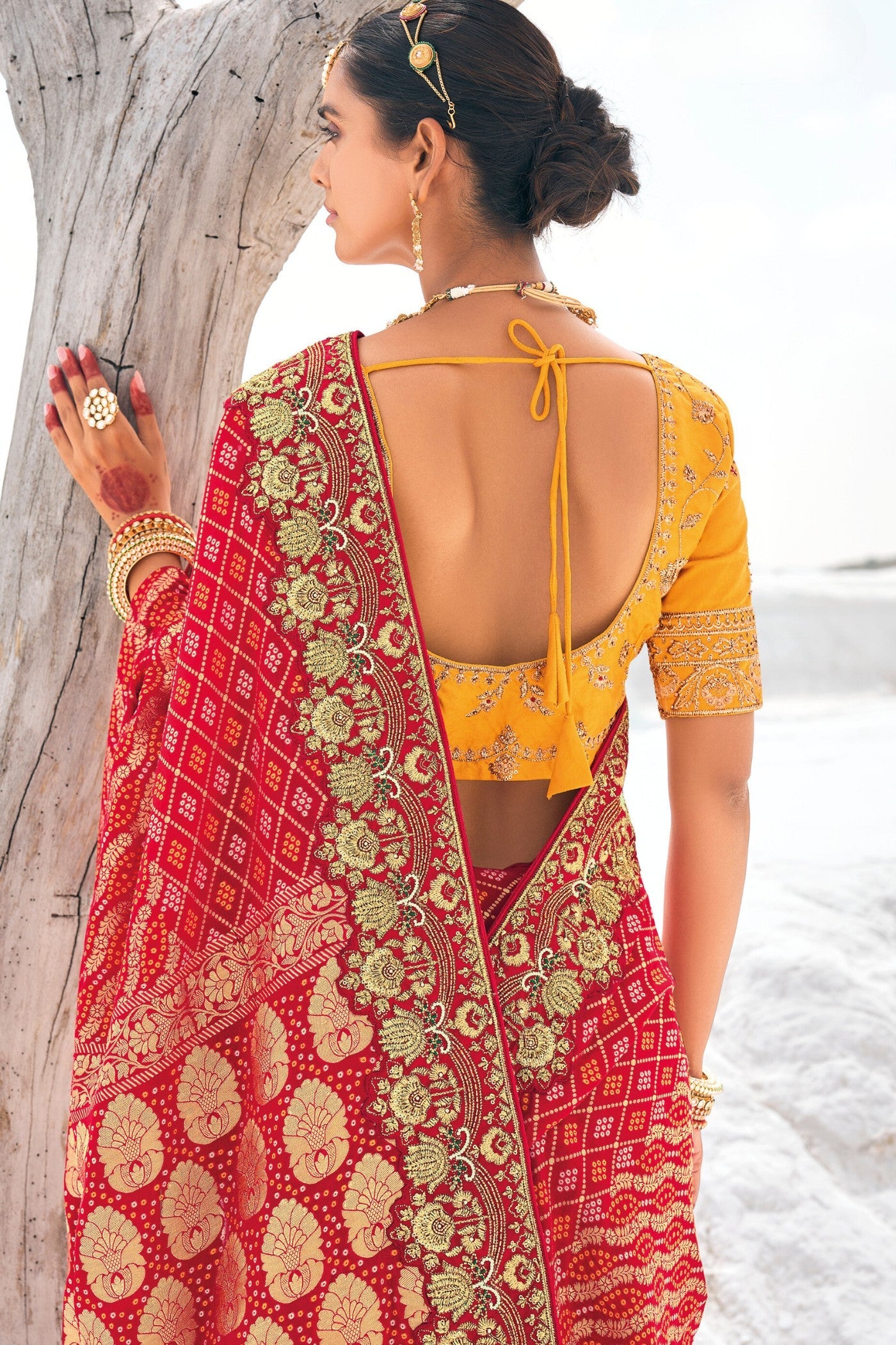 Anthuriums Red Georgette Patola Saree