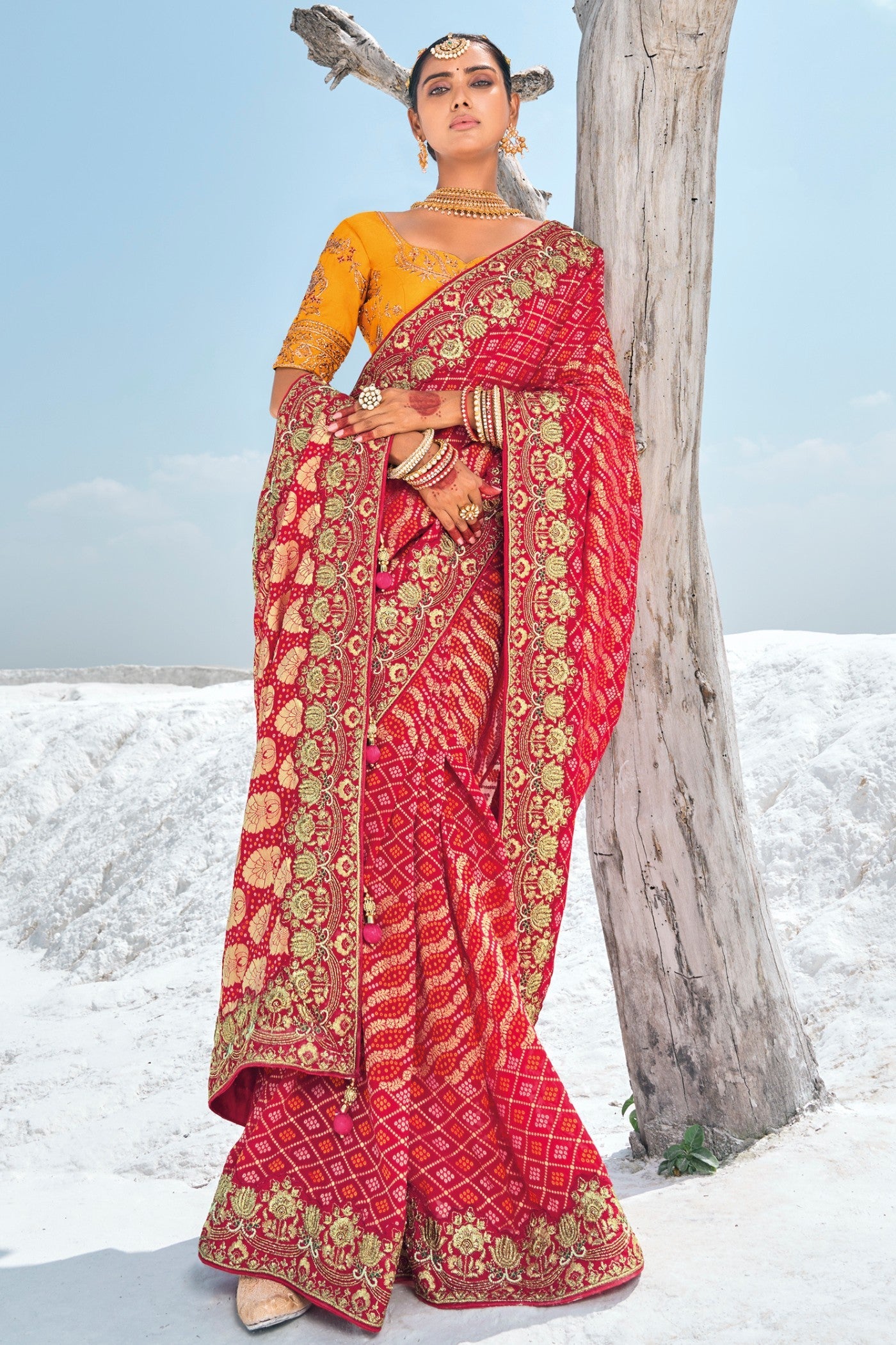 Anthuriums Red Georgette Patola Saree