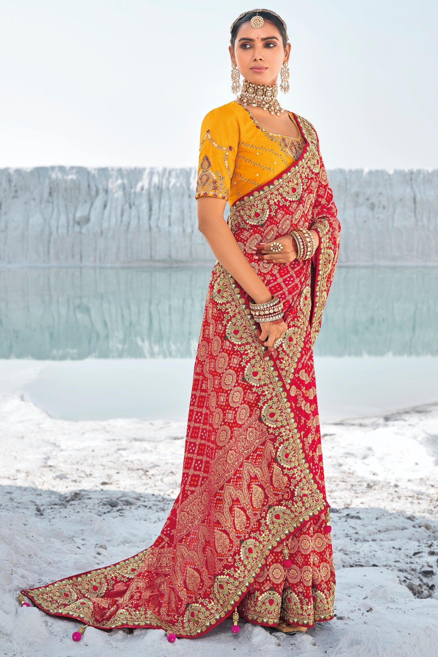 Ruby Red Georgette Patola Saree