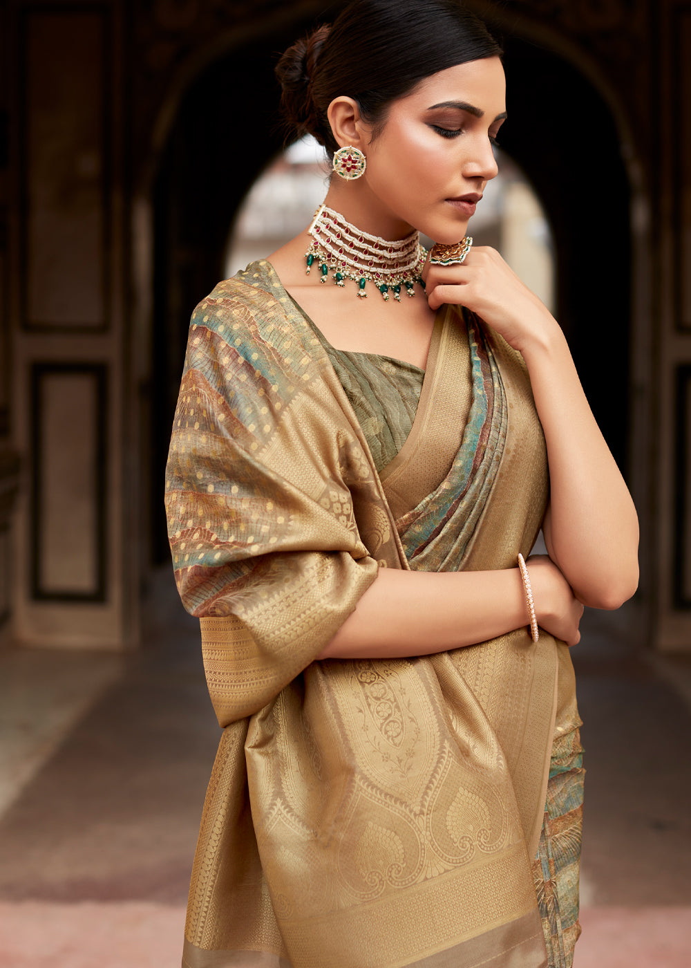 Tan Brown Banarasi Digital Printed Silk Saree