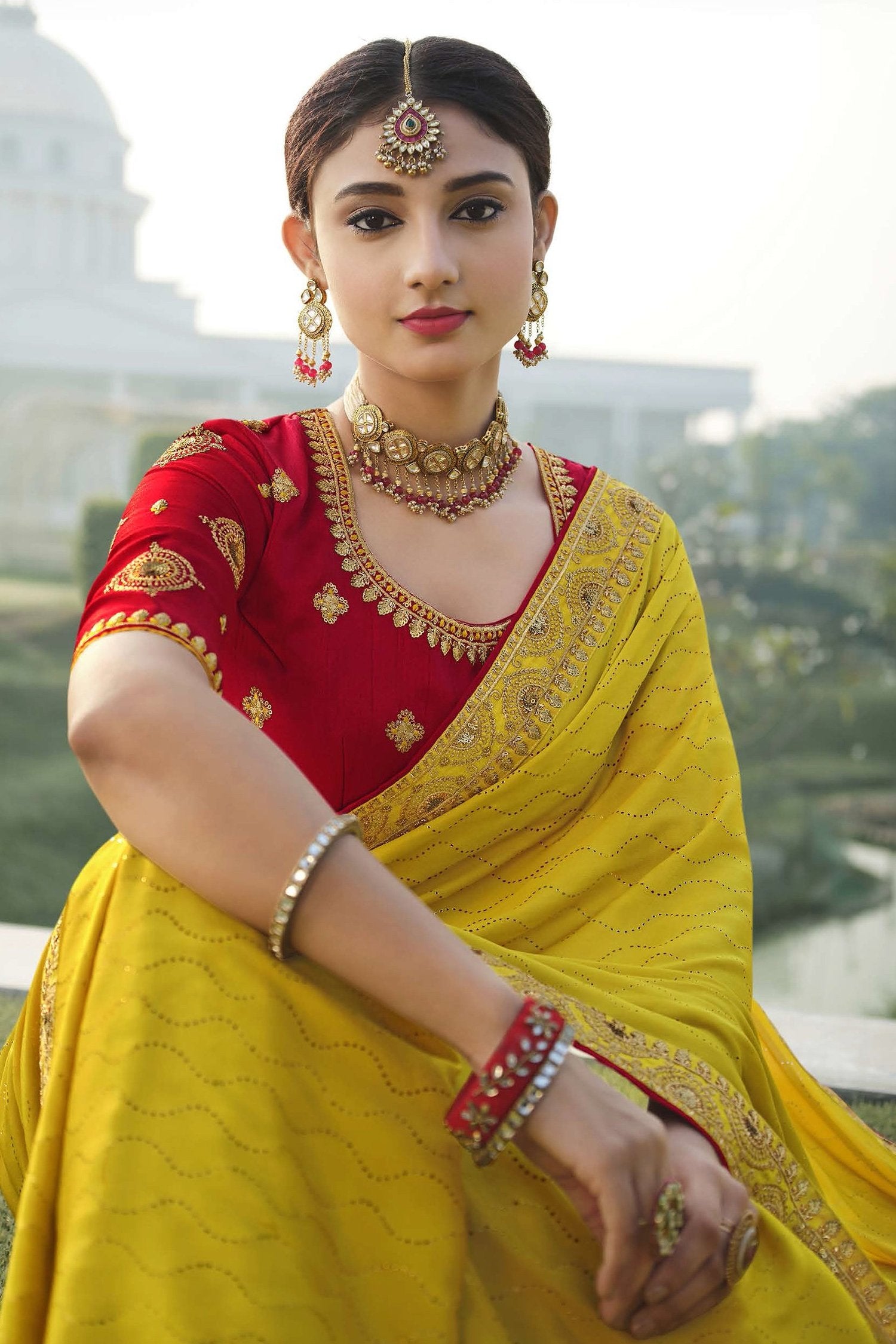 Bird Flower and Red Chiffon Stone Work Saree