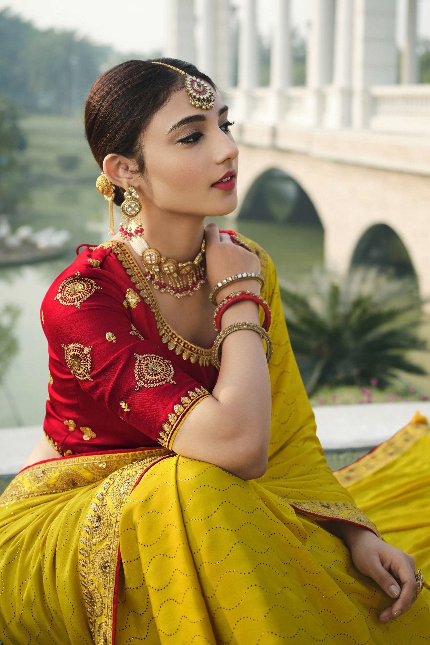 Bird Flower and Red Chiffon Stone Work Saree