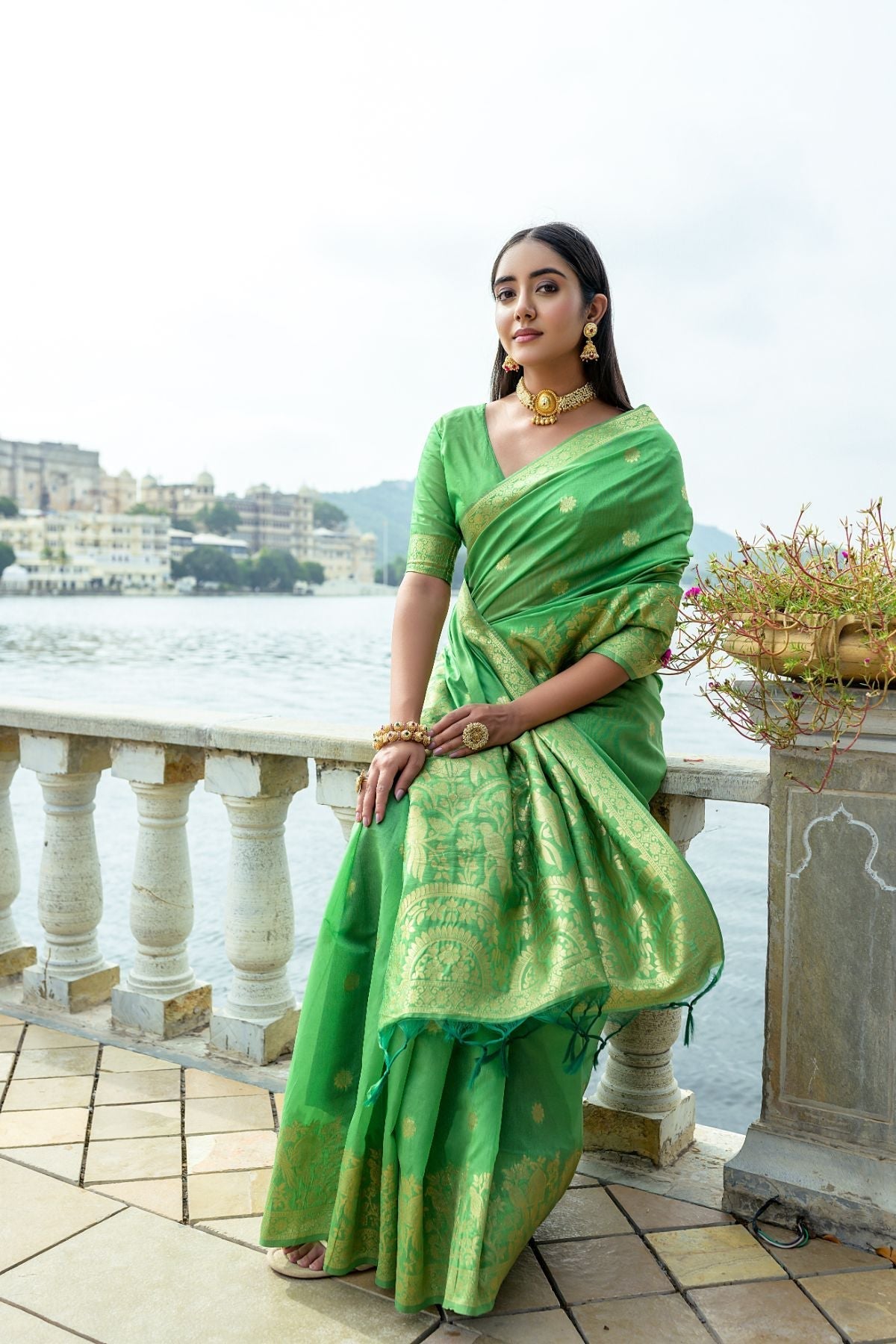 Asparagus Green Banarasi Soft Silk Saree