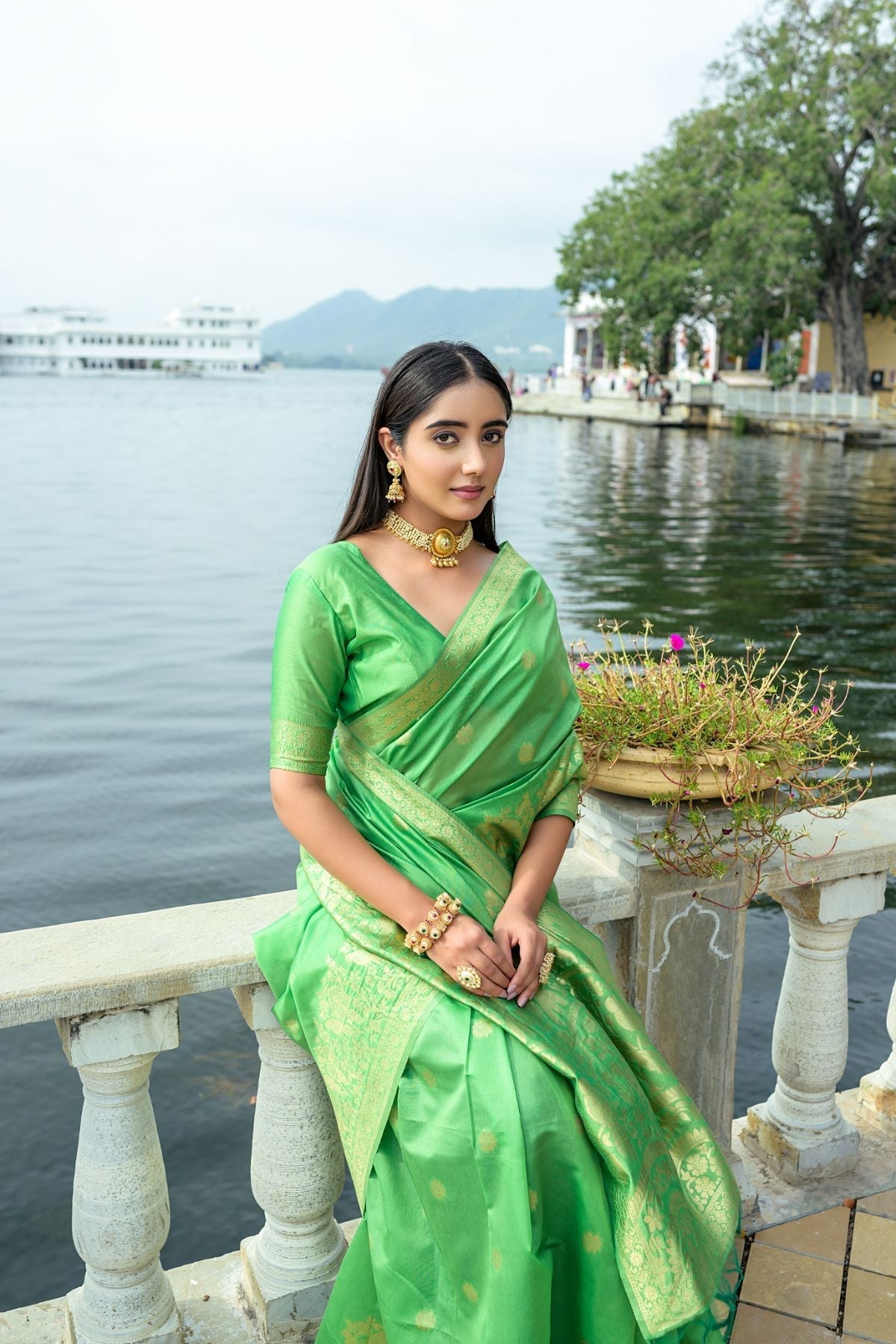 Asparagus Green Banarasi Soft Silk Saree