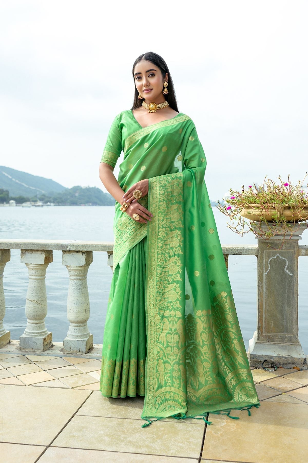 Asparagus Green Banarasi Soft Silk Saree