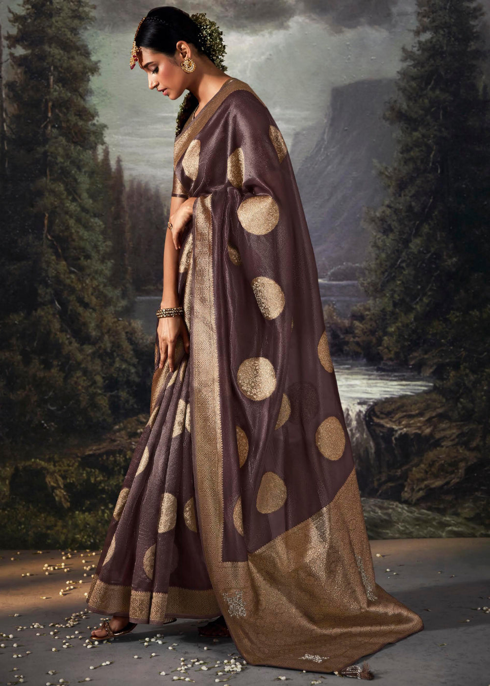 Woody Brown Woven Banarasi Organza Silk Saree