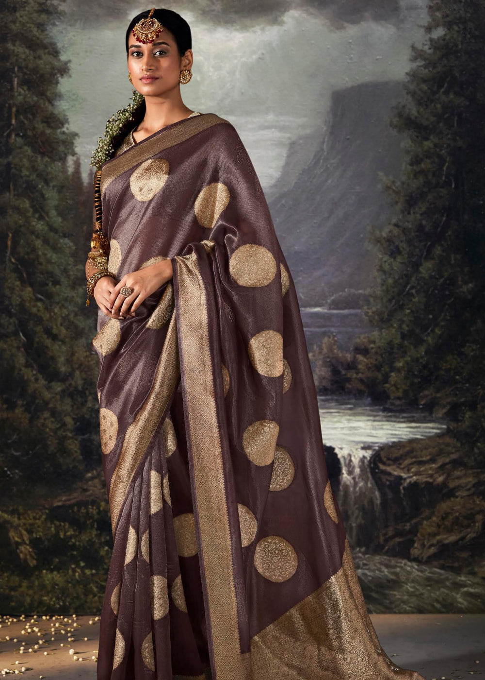 Woody Brown Woven Banarasi Organza Silk Saree