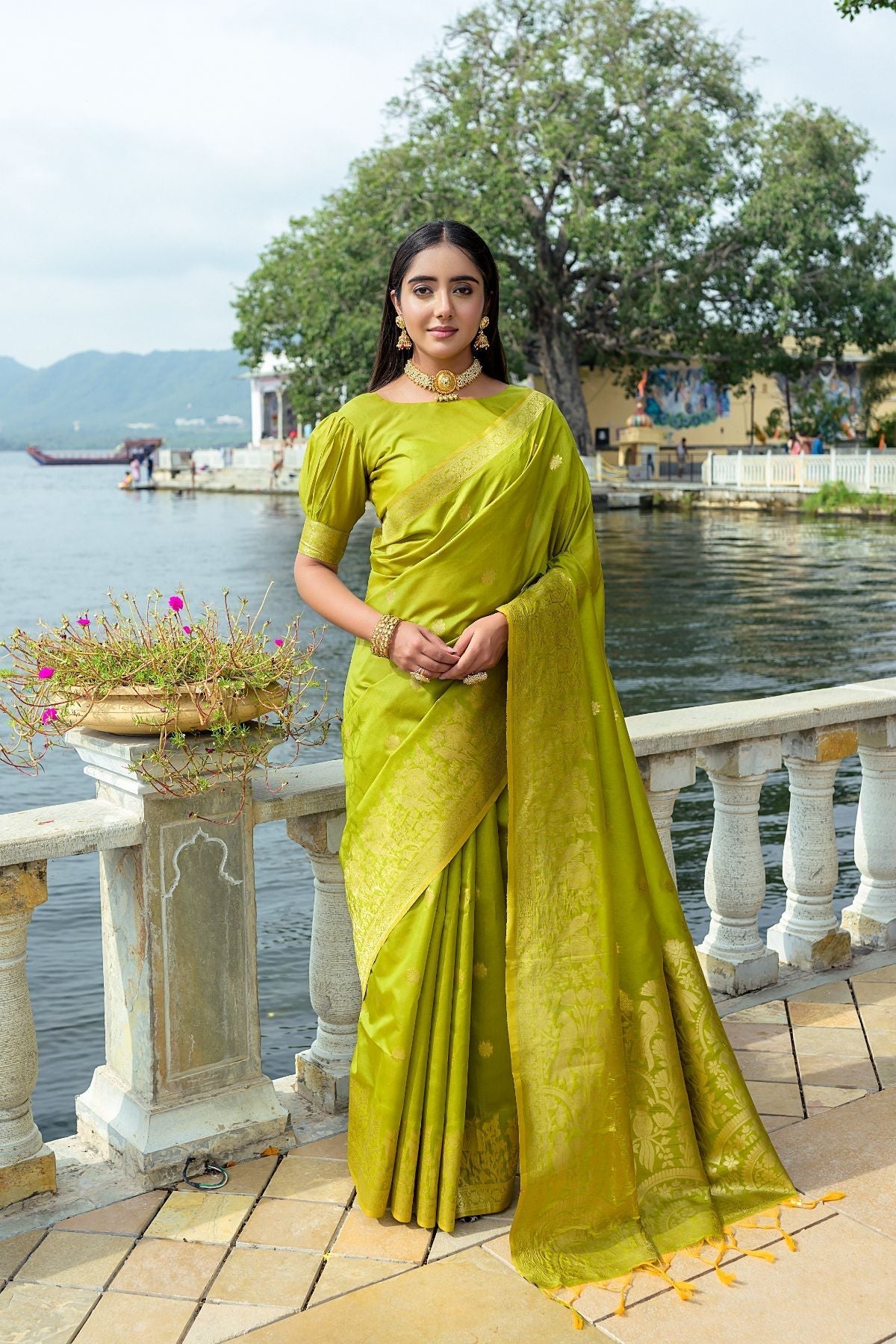 Alpine Green Banarasi Soft Silk Saree