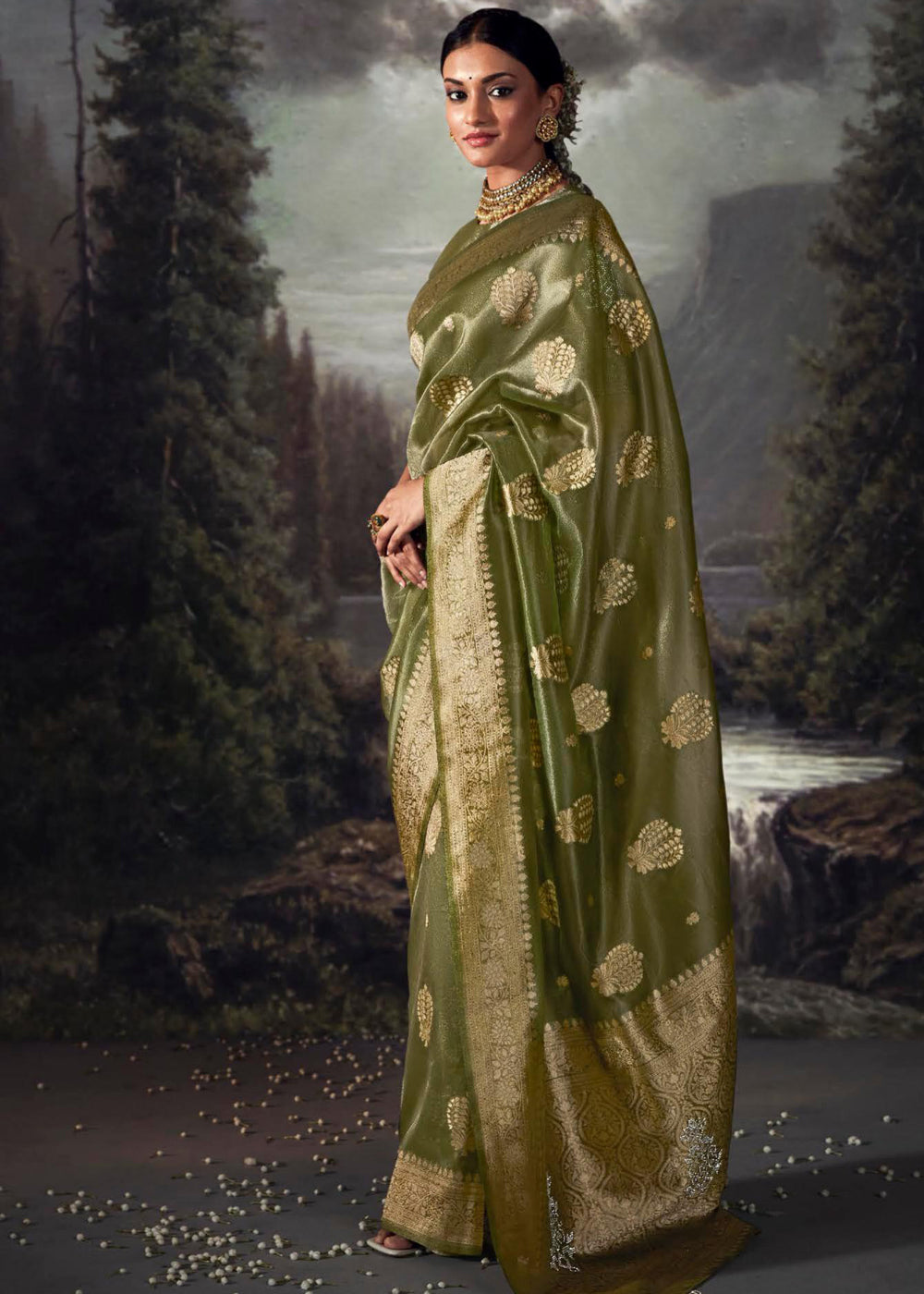 Costa Del Sol Green Woven Banarasi Organza Silk Saree