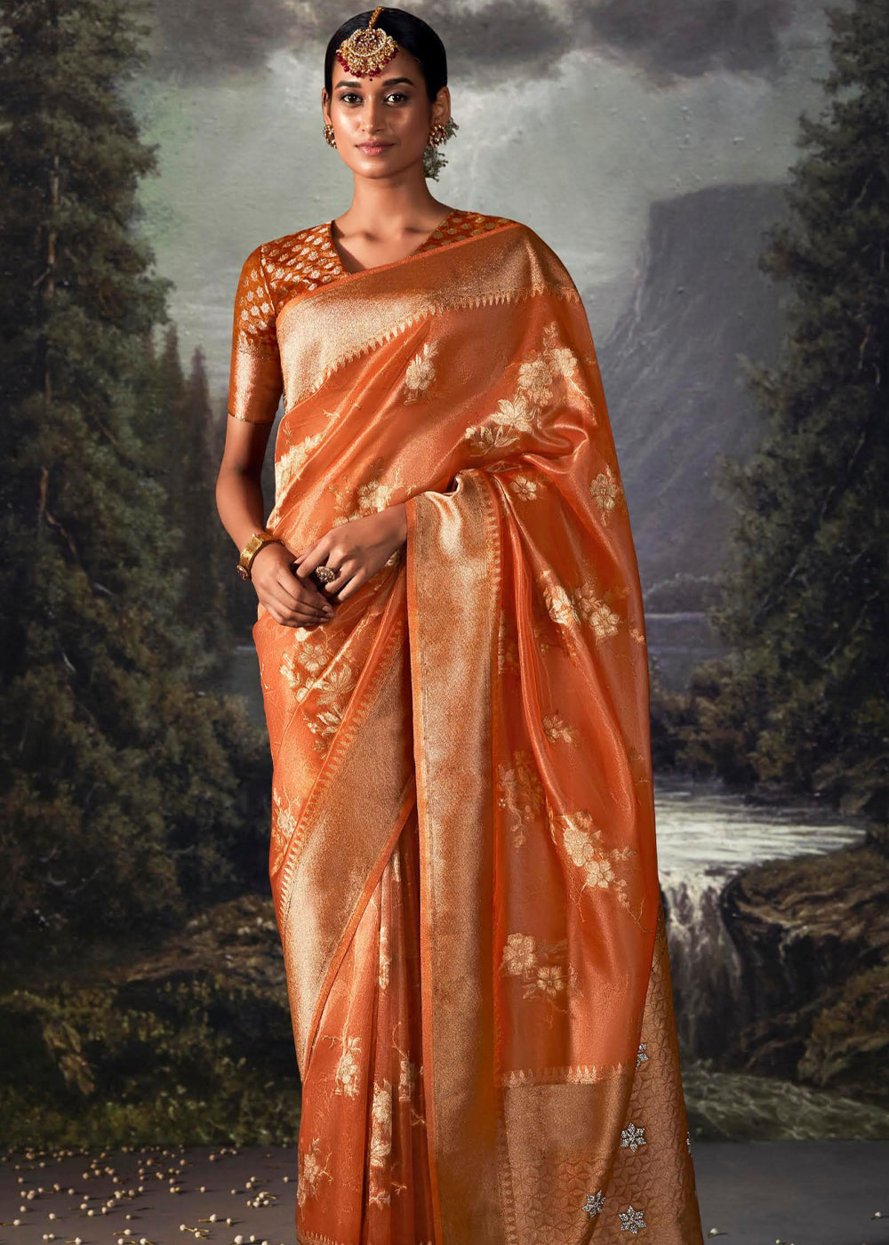 Chardonnay Orange Woven Banarasi Organza Silk Saree