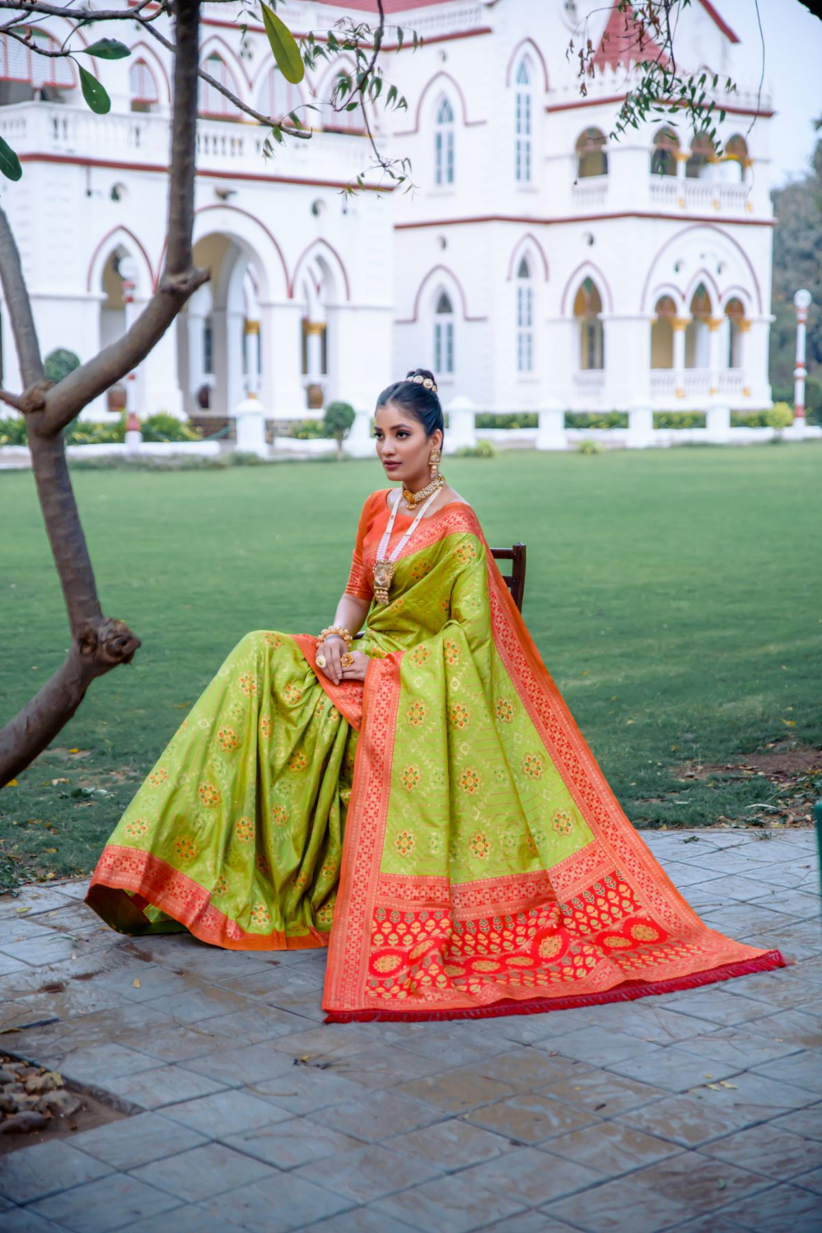 Nature Green Banarasi Patola Silk Saree