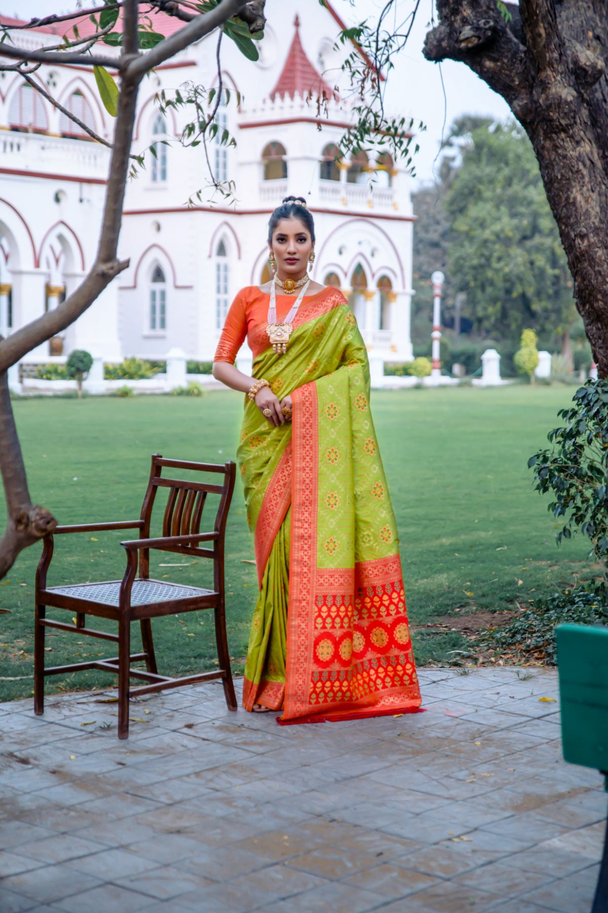 Nature Green Banarasi Patola Silk Saree