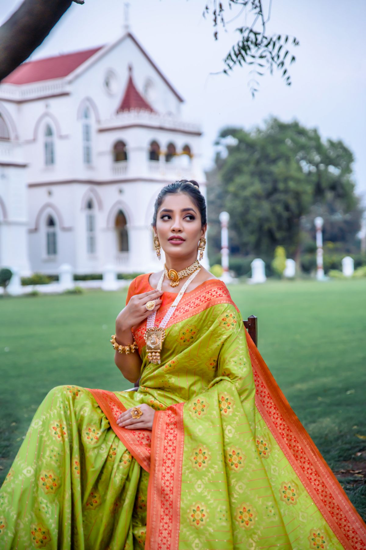 Nature Green Banarasi Patola Silk Saree