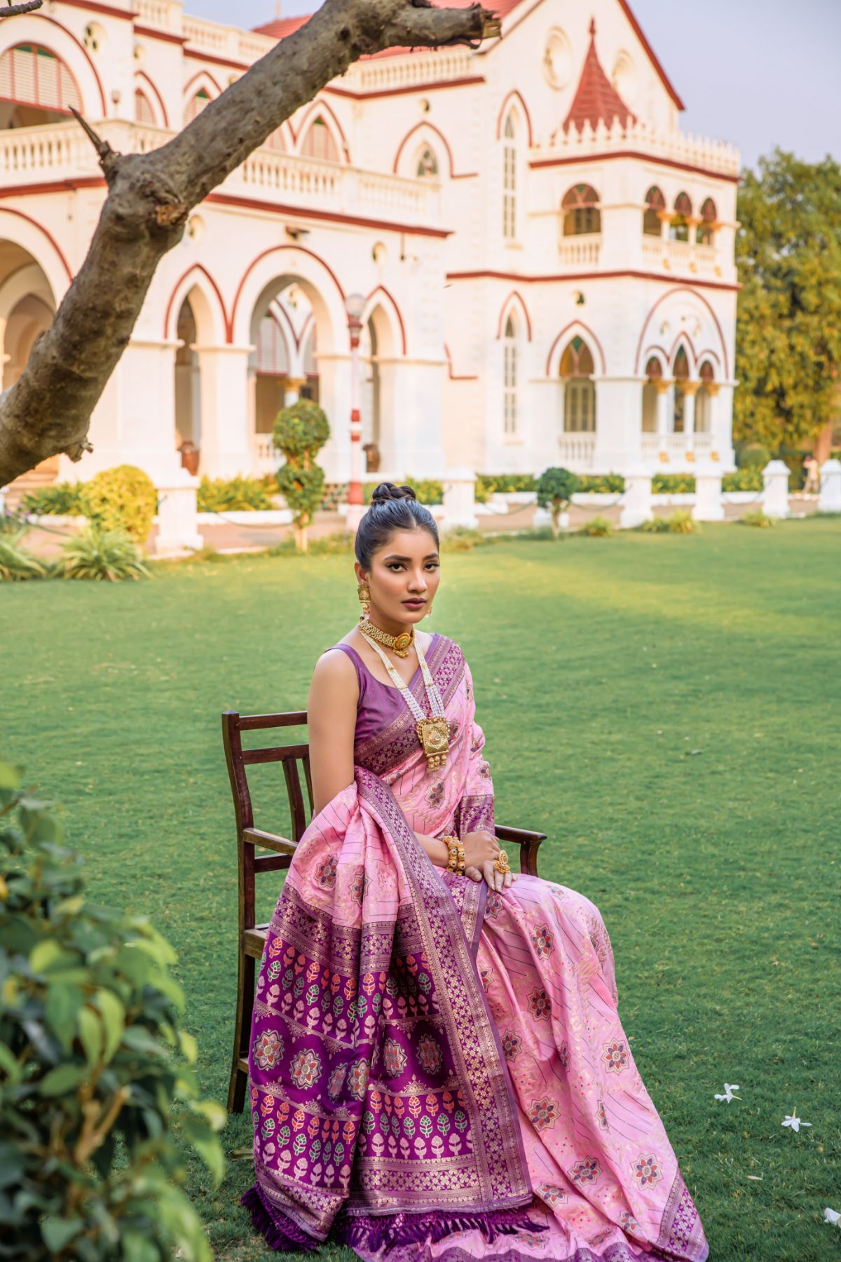 Amazing Pink and Purple Banarasi Patola Silk Saree