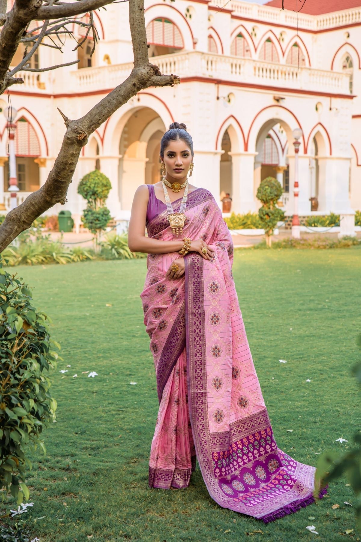 Amazing Pink and Purple Banarasi Patola Silk Saree