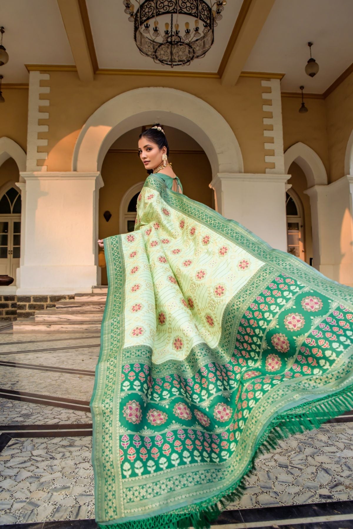 Pastel Green Banarasi Patola Silk Saree