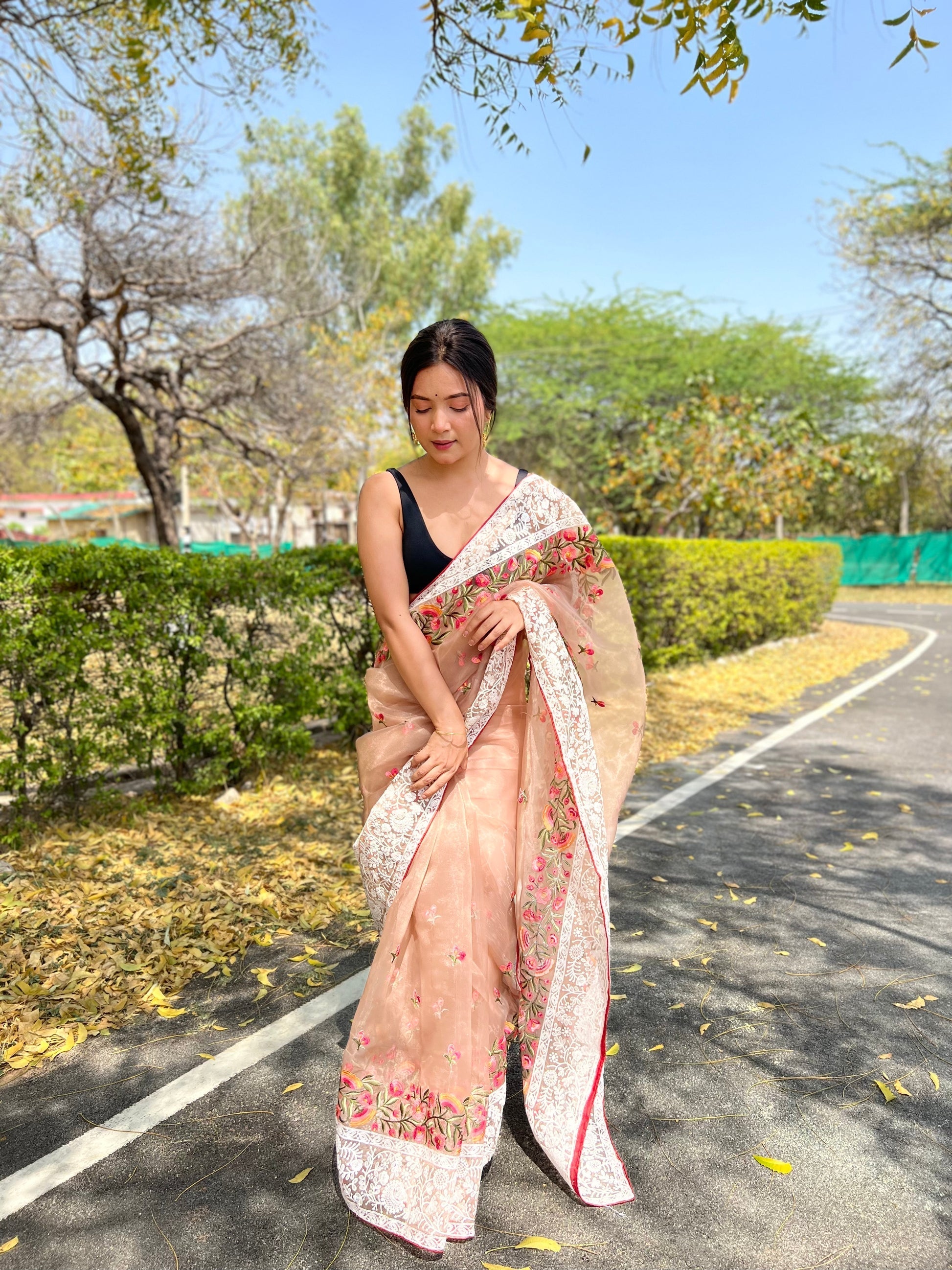 Light Orange Lucknowi Chikankari Organza Silk Saree