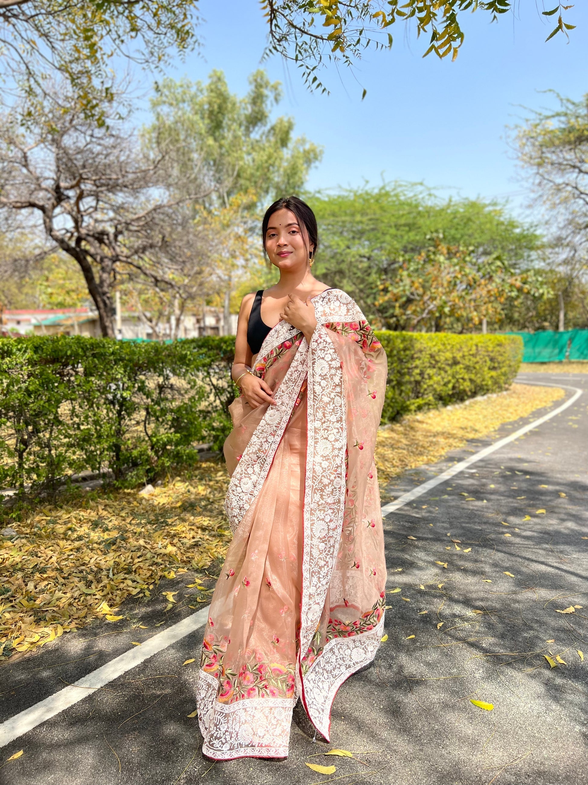 Light Orange Lucknowi Chikankari Organza Silk Saree