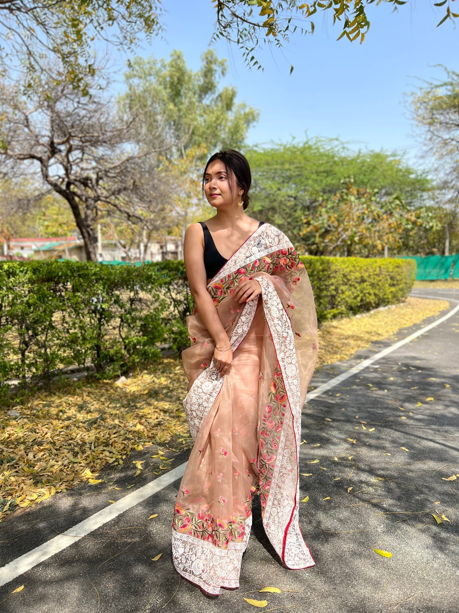 Light Orange Lucknowi Chikankari Organza Silk Saree