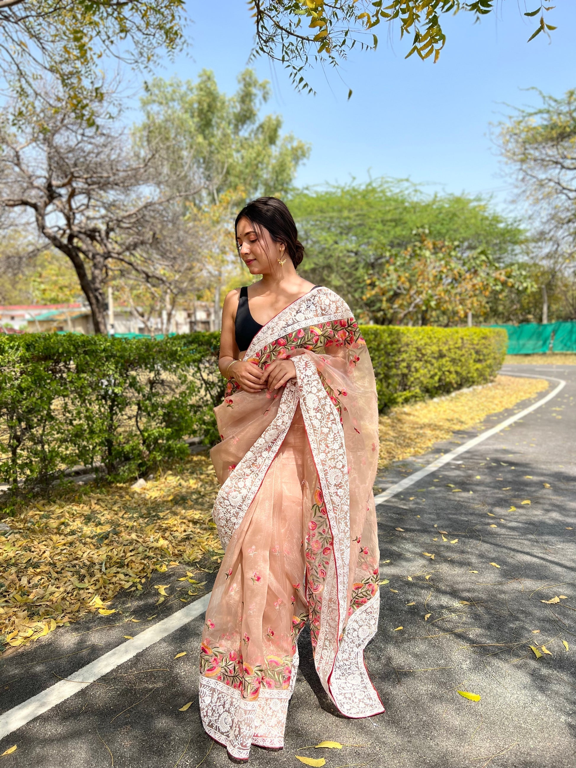 Light Orange Lucknowi Chikankari Organza Silk Saree