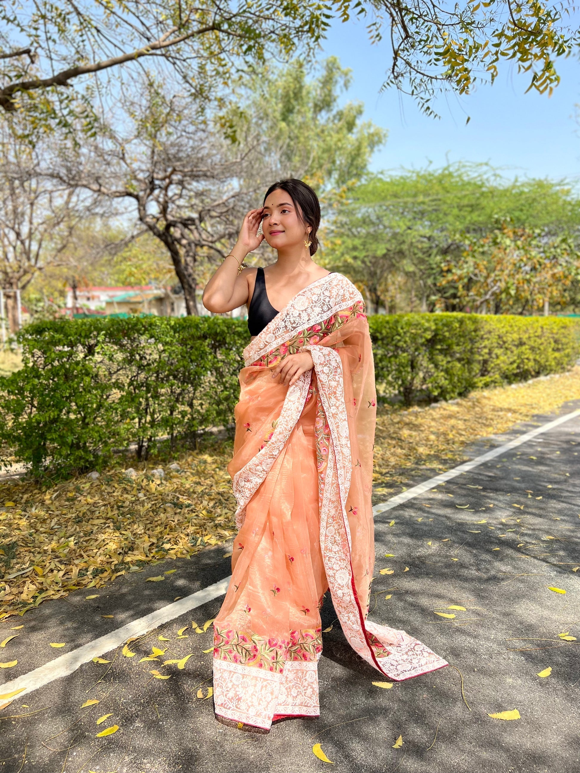 Peach Lucknowi Chikankari Organza Silk Saree