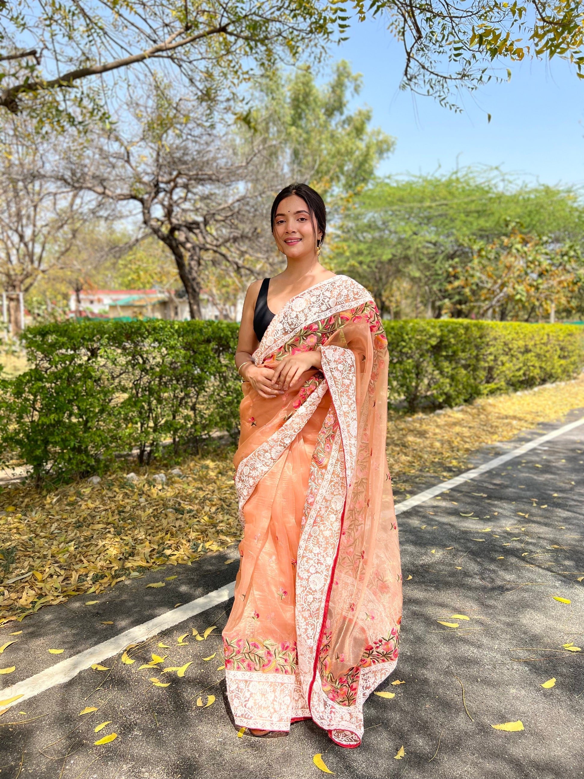 Peach Lucknowi Chikankari Organza Silk Saree