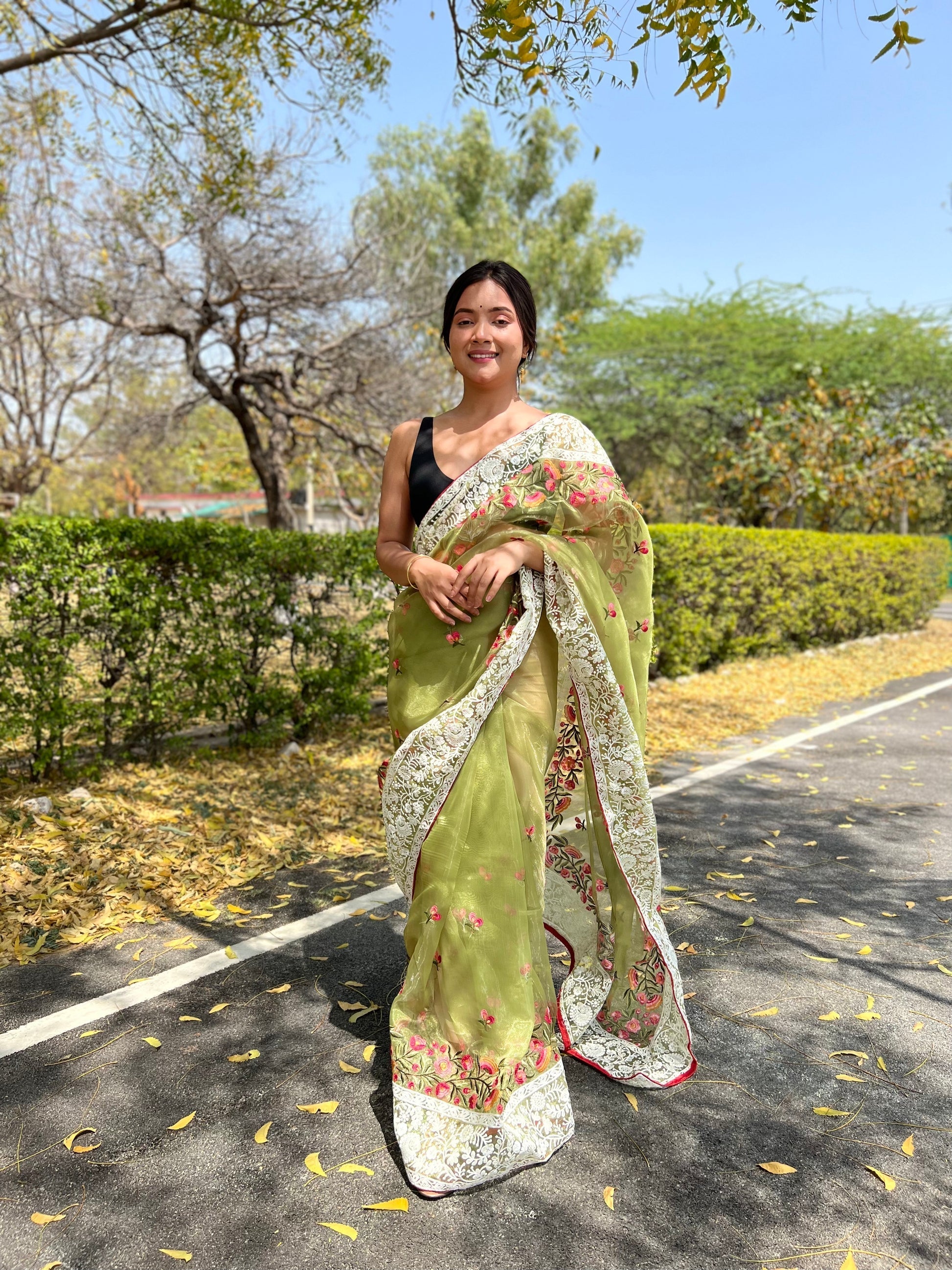 Willow Green Lucknowi Chikankari Organza Silk Saree