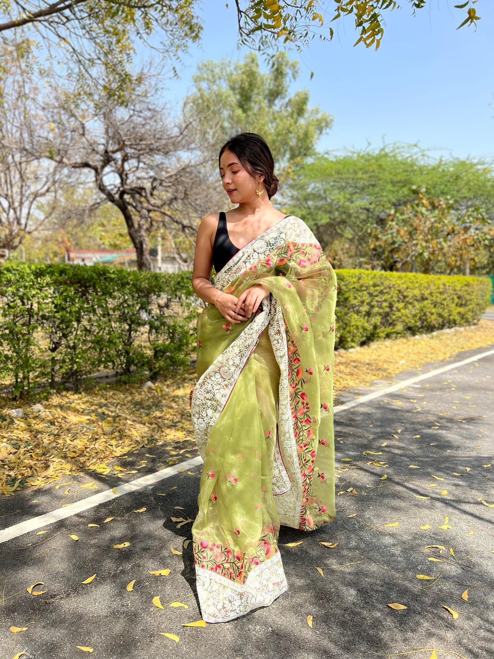 Willow Green Lucknowi Chikankari Organza Silk Saree