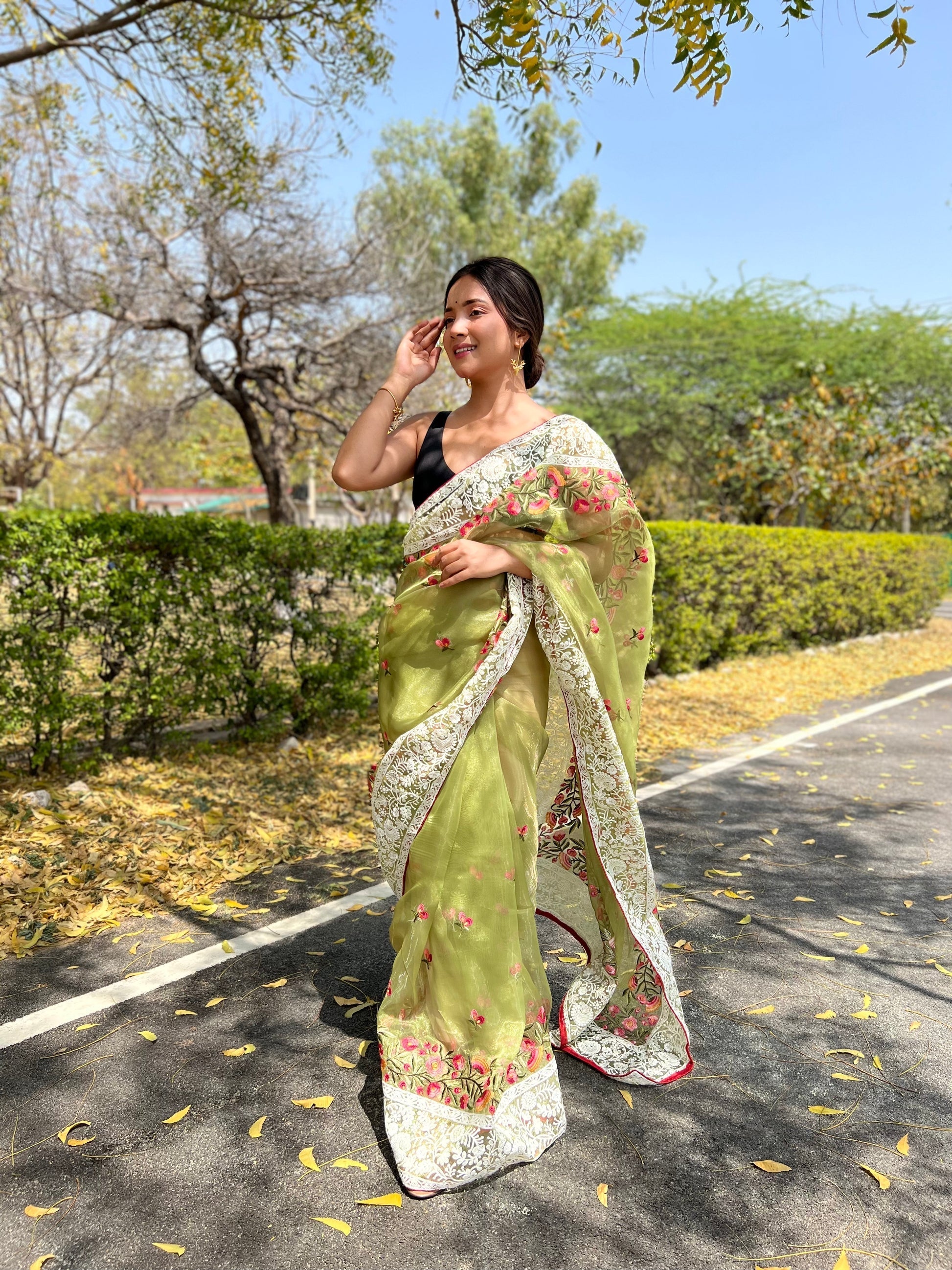 Willow Green Lucknowi Chikankari Organza Silk Saree