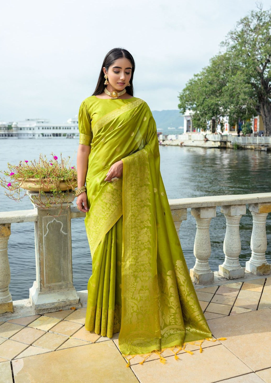 Premium Soft Silk Saree With Zari Weaving Border