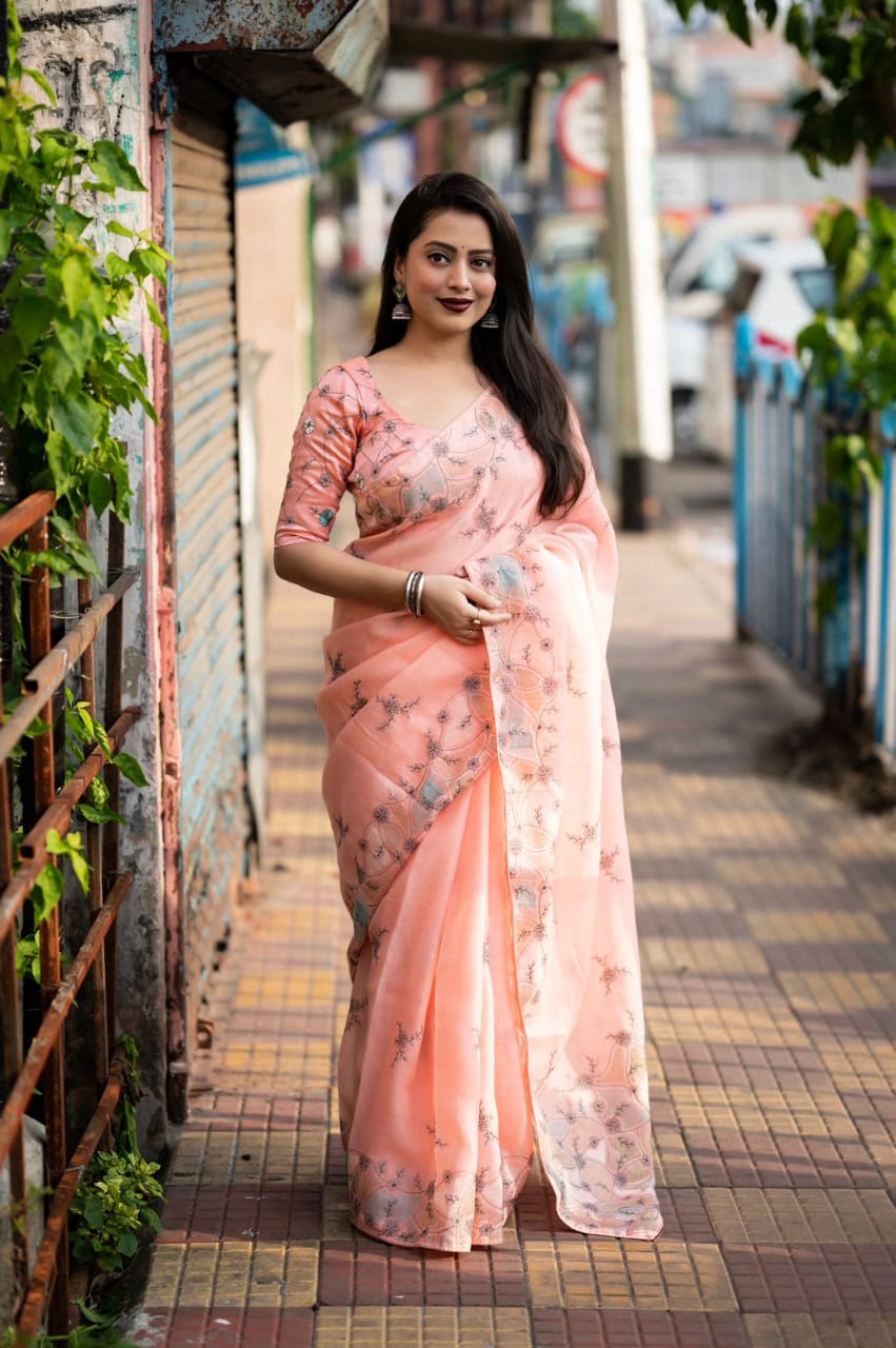 Peach Color Soft Linen Saree With Beautiful Pencil Stich Emboridary