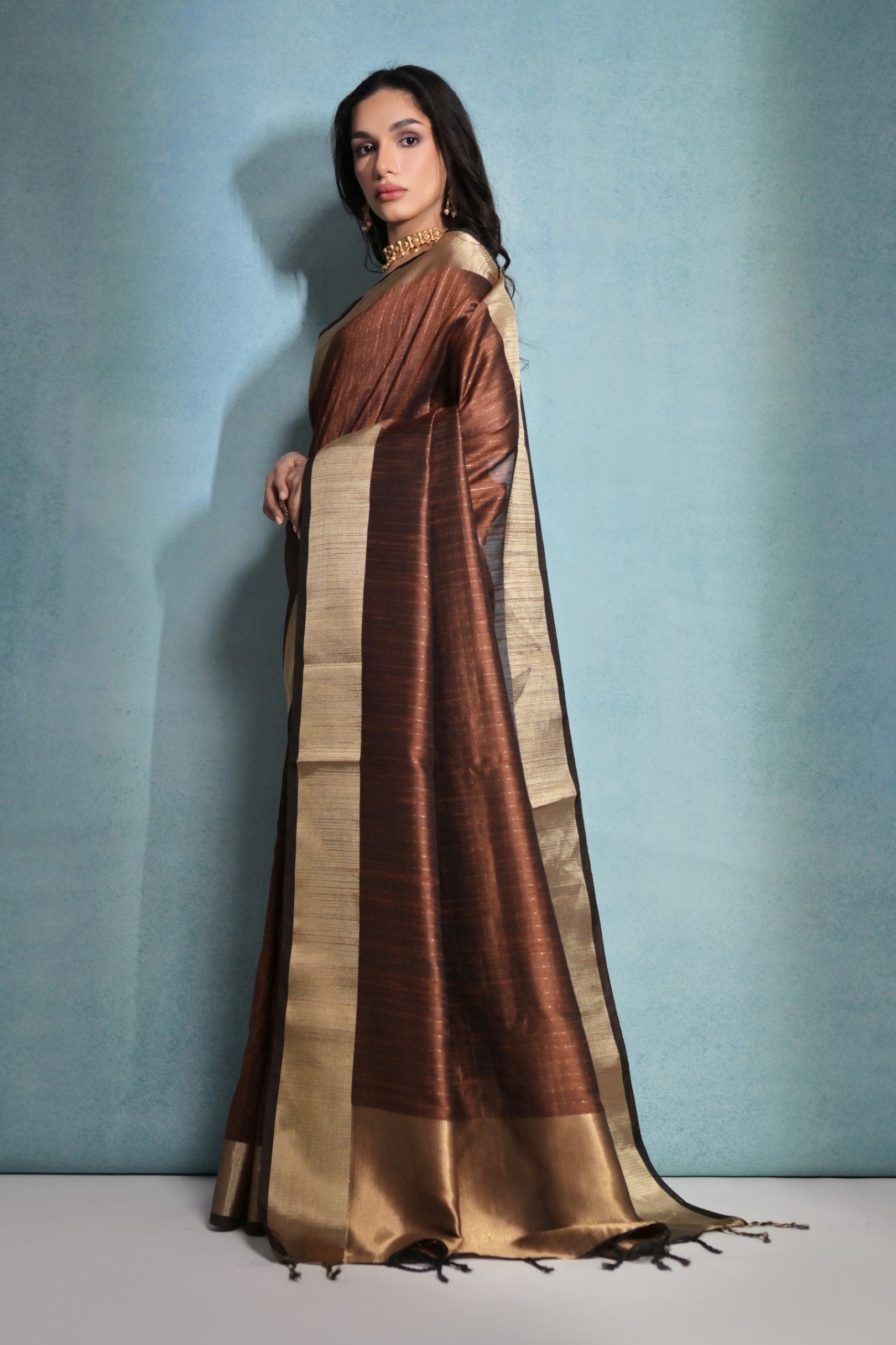 Coco Brown Woven Raw Silk Saree