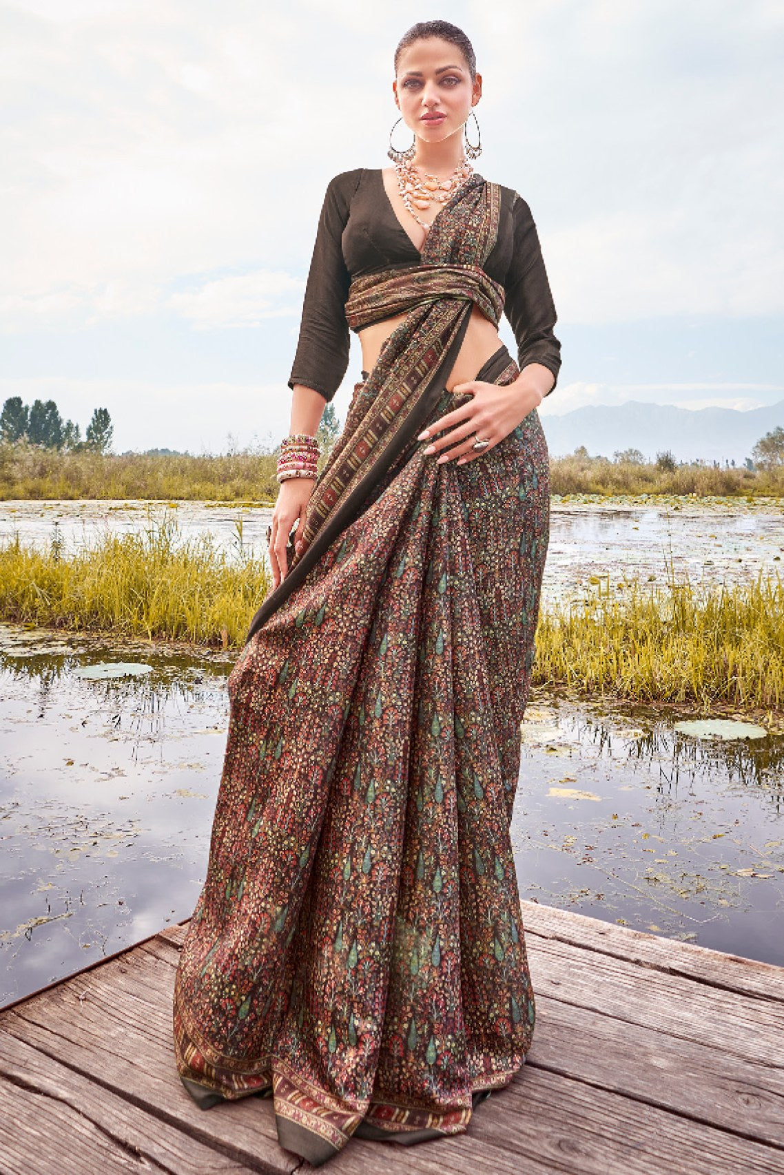 Soya Brown Printed Pashmina Silk Saree