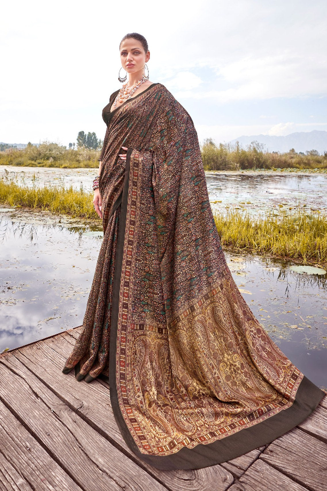 Soya Brown Printed Pashmina Silk Saree