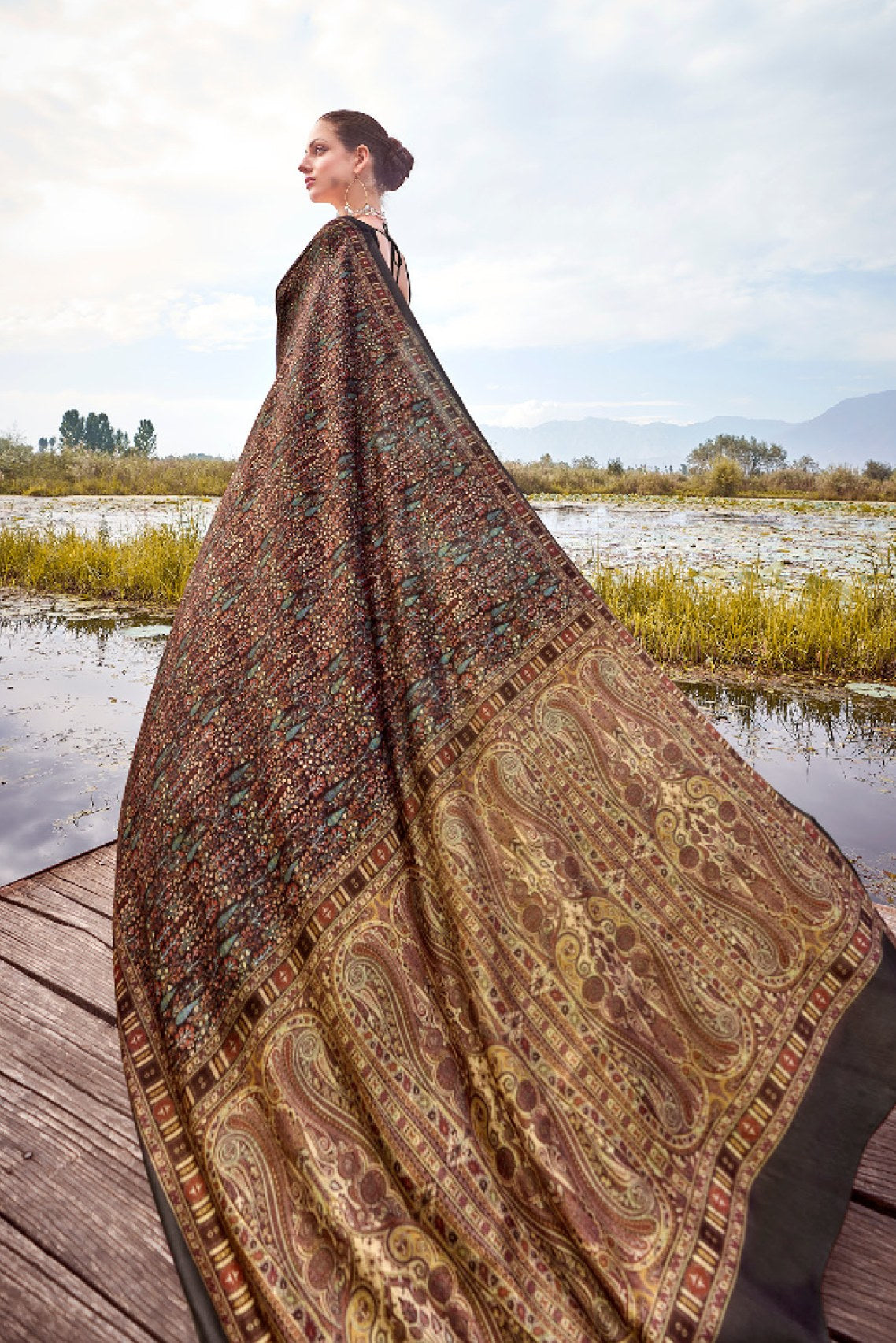 Soya Brown Printed Pashmina Silk Saree