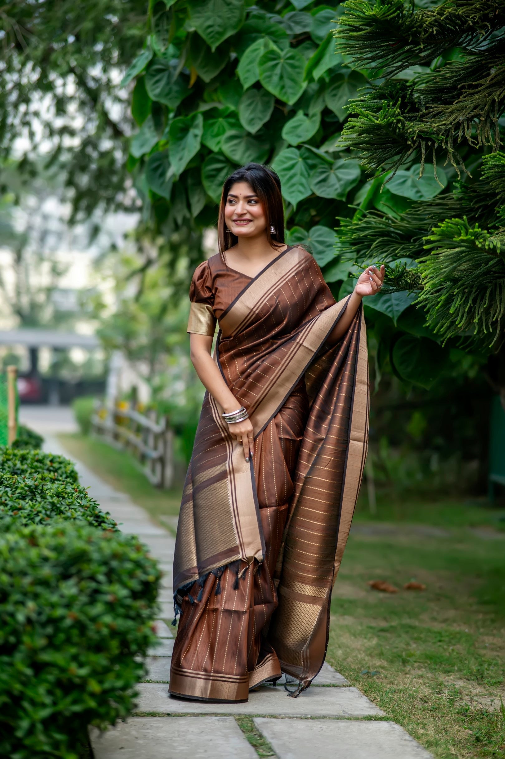 Roman Brown Woven Raw Silk Saree