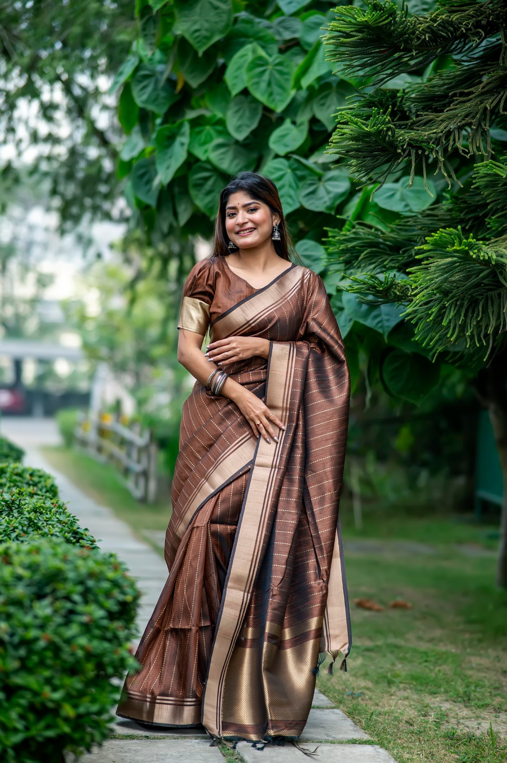 Roman Brown Woven Raw Silk Saree